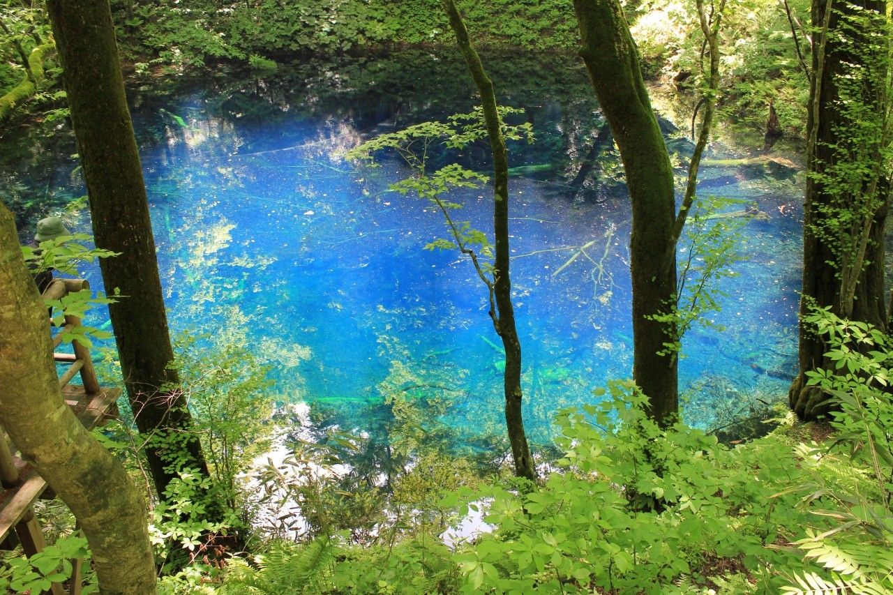 1280x853 Aoike Pond In Shirakami Sanchi, A World Heritage Site｜Search Destinations In Tohoku. TRAVEL TO TOHOKU Official Tourism Website Of Tohoku, Japan