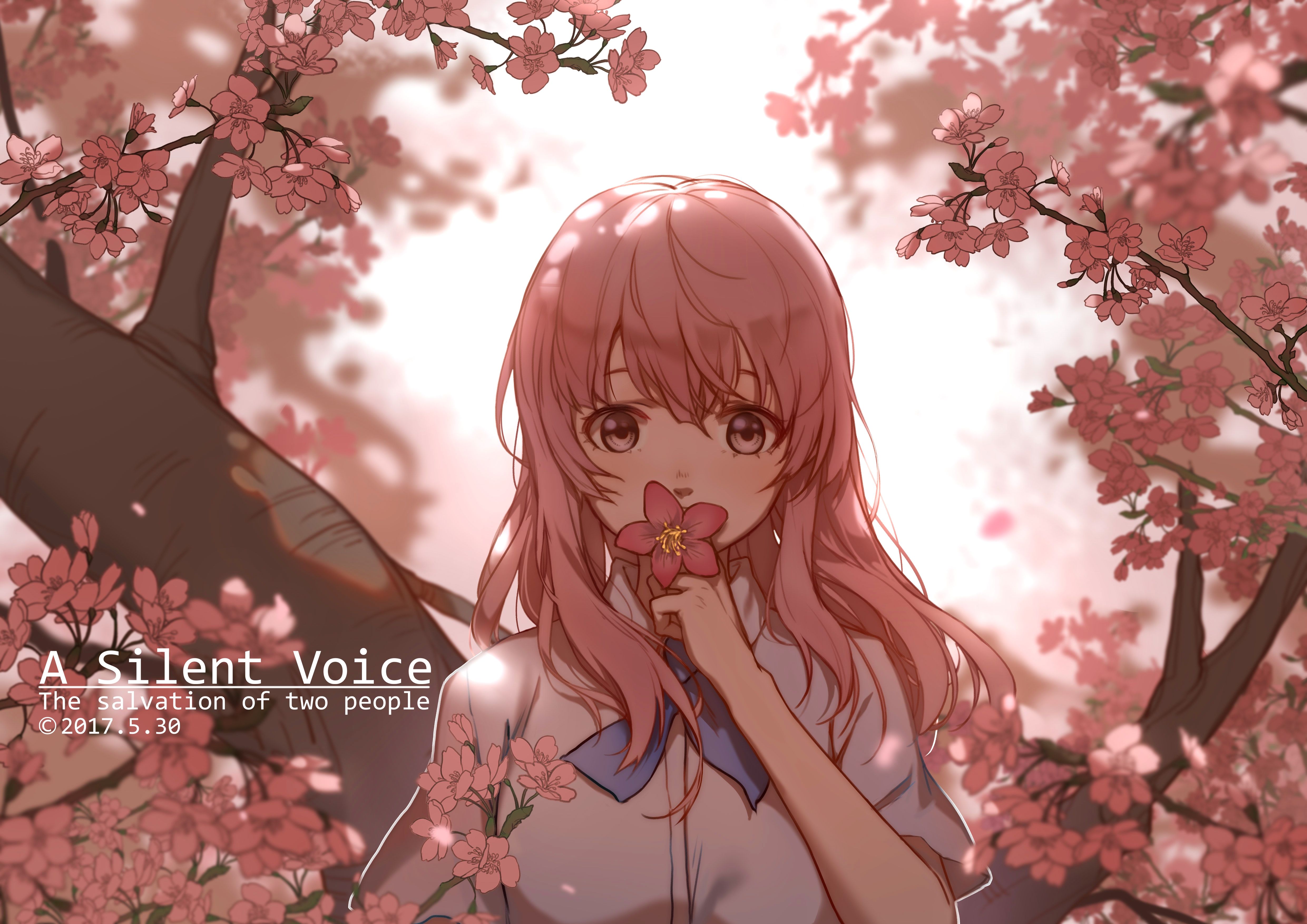 4961x3508 Desktop wallpaper: Anime, Cherry Blossom, Pink Hair, Shouko Nishimiya 4K free download for PC. 854956