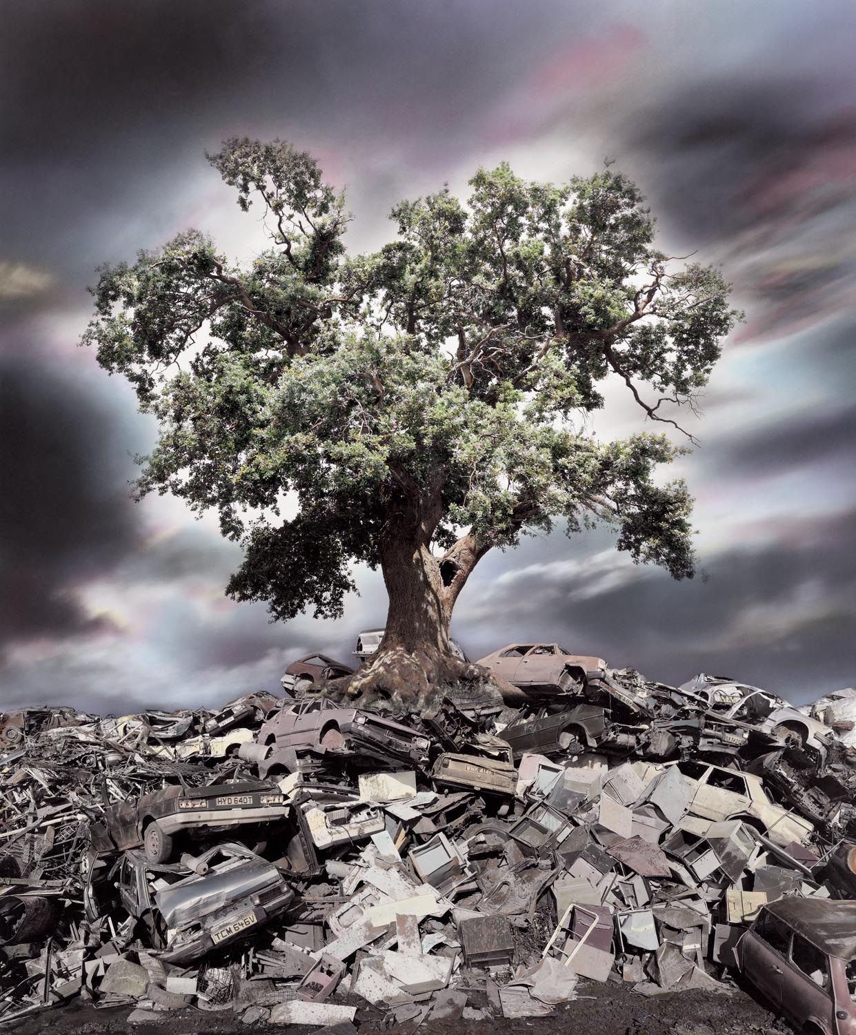 1241x1500 Against all Odds Hag's Photography