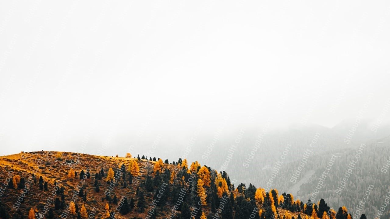 1280x720 Autumn yellow trees misty mountains background image