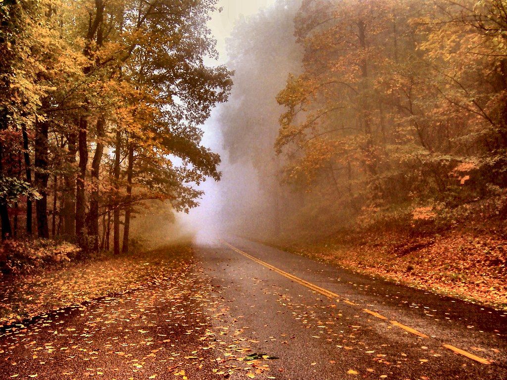 1024x768 Autumn Mist. A foggy, misty autumn day on the Blue Ridge Pa
