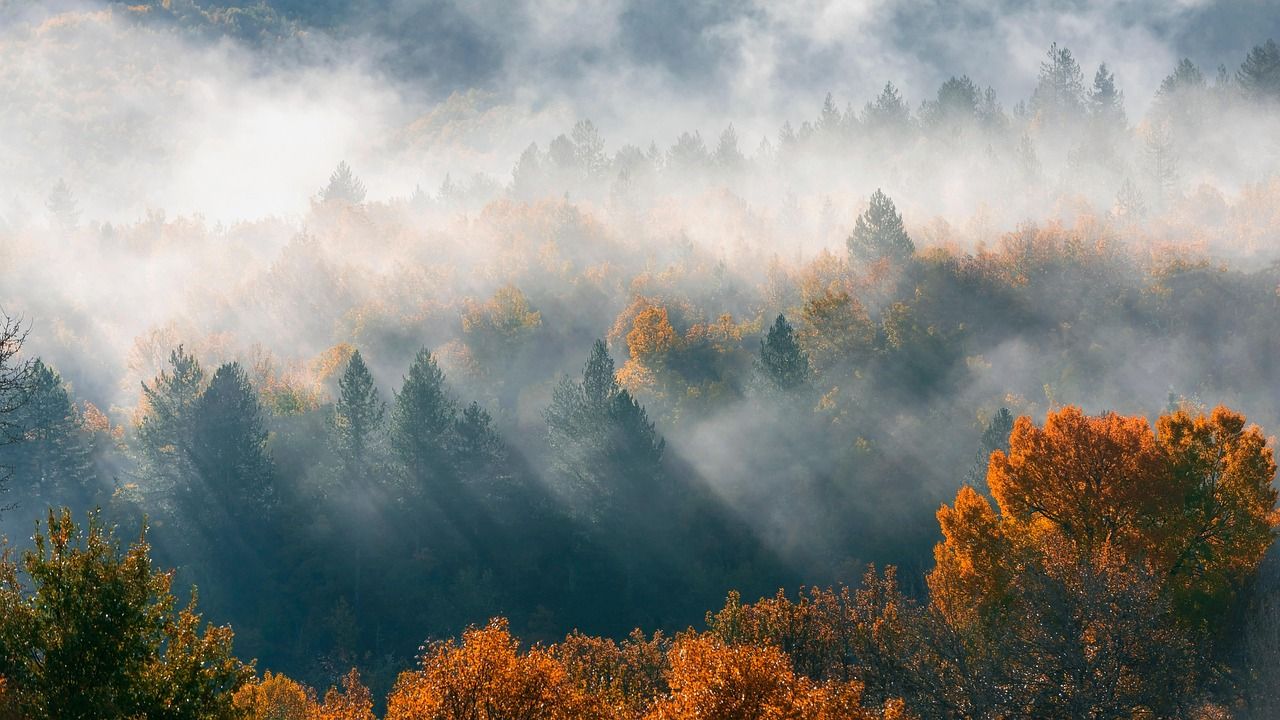 1280x720 Free Autumn Mists & Autumn Photo