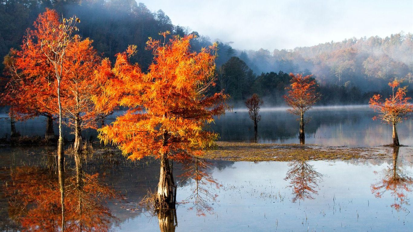 1366x768 Autumn Mist On The Ocoee River National Geographic Photo Wallpaper