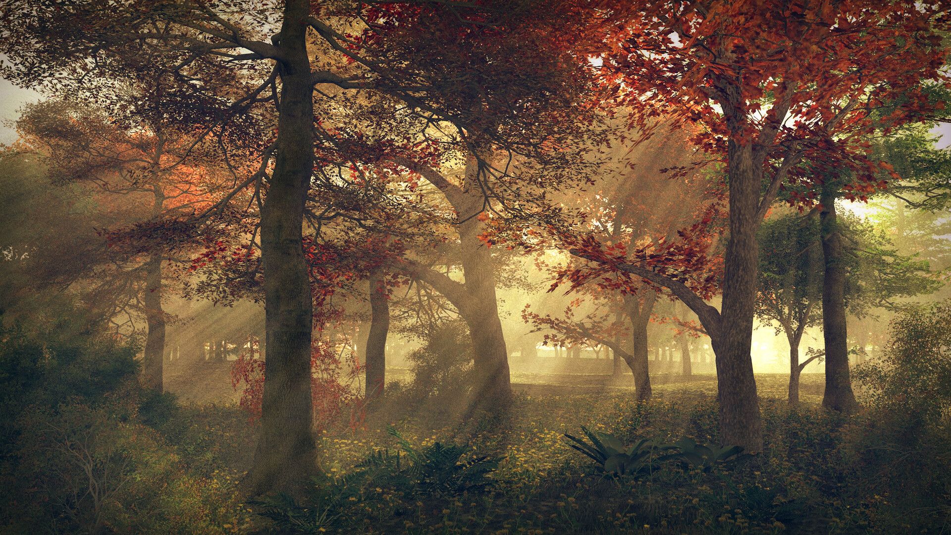 1920x1080 Misty Autumn Forest