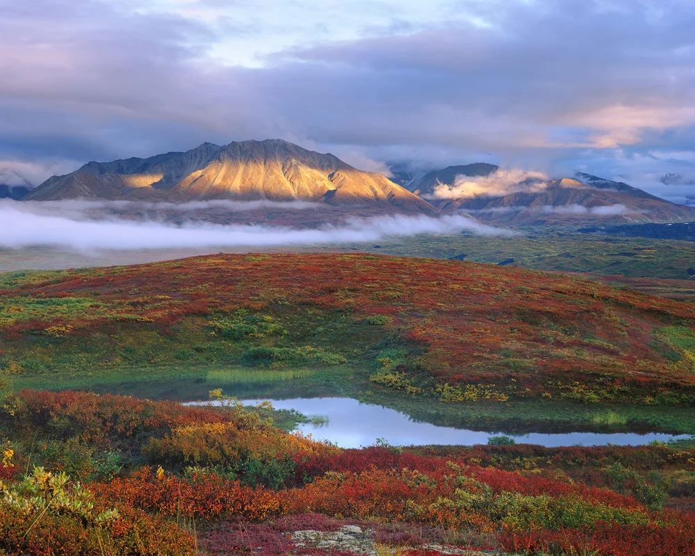 1000x800 Autumn Mist Sunset