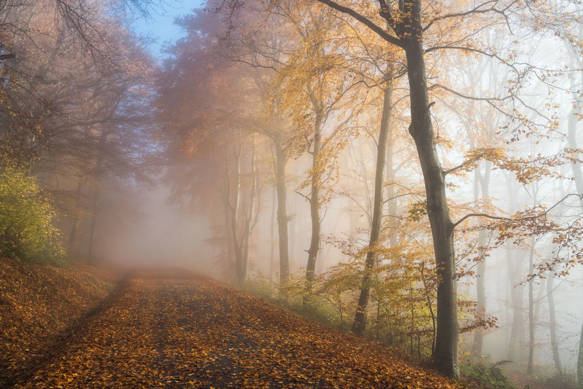 2000x1335 gorgeous misty scenes (and why Autumn is the ideal time to shoot them)