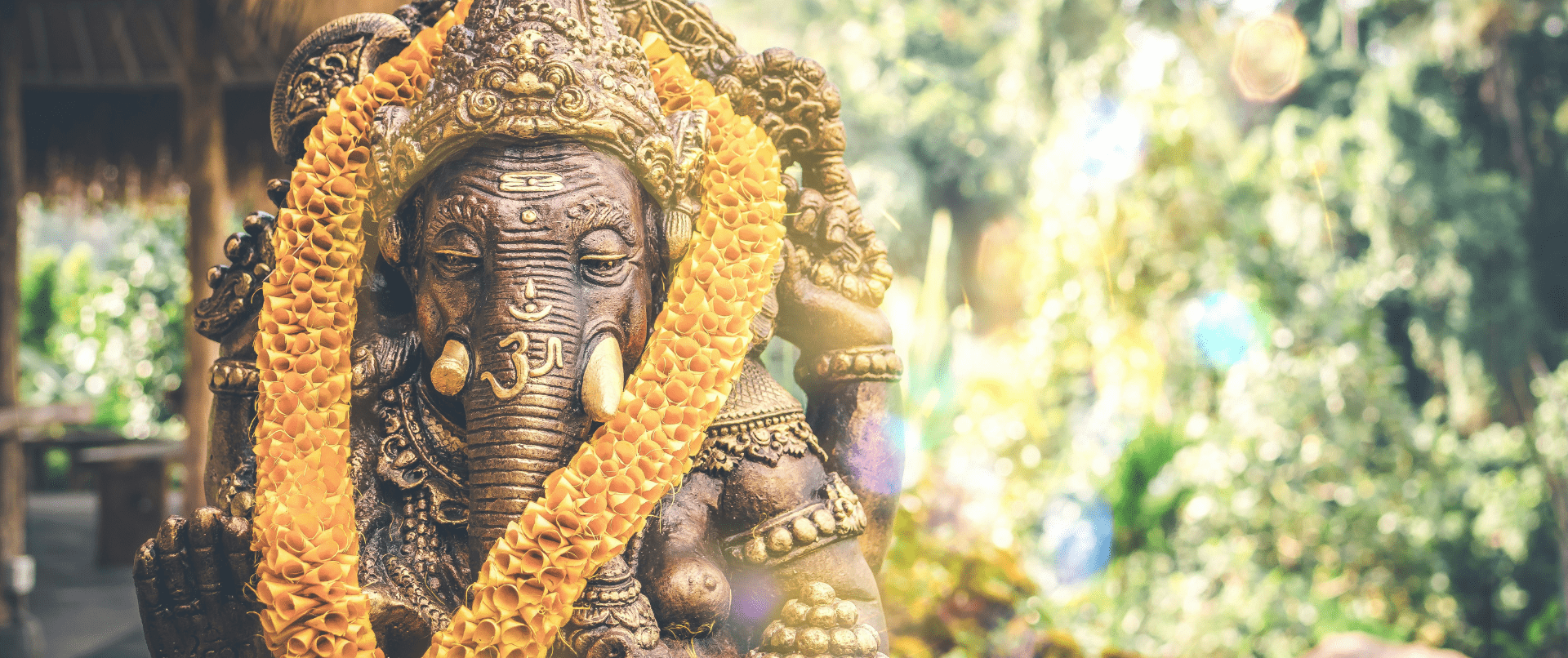 1920x806 PanditJi