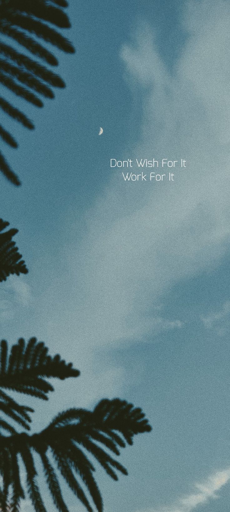 736x1635 Phone wallpaper quotes