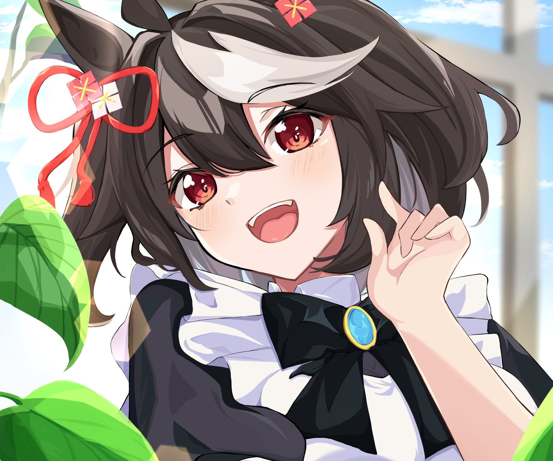 1920x1600 Download Kitasan Black Anime Uma Musume: Pretty Derby HD Wallpaperx2412