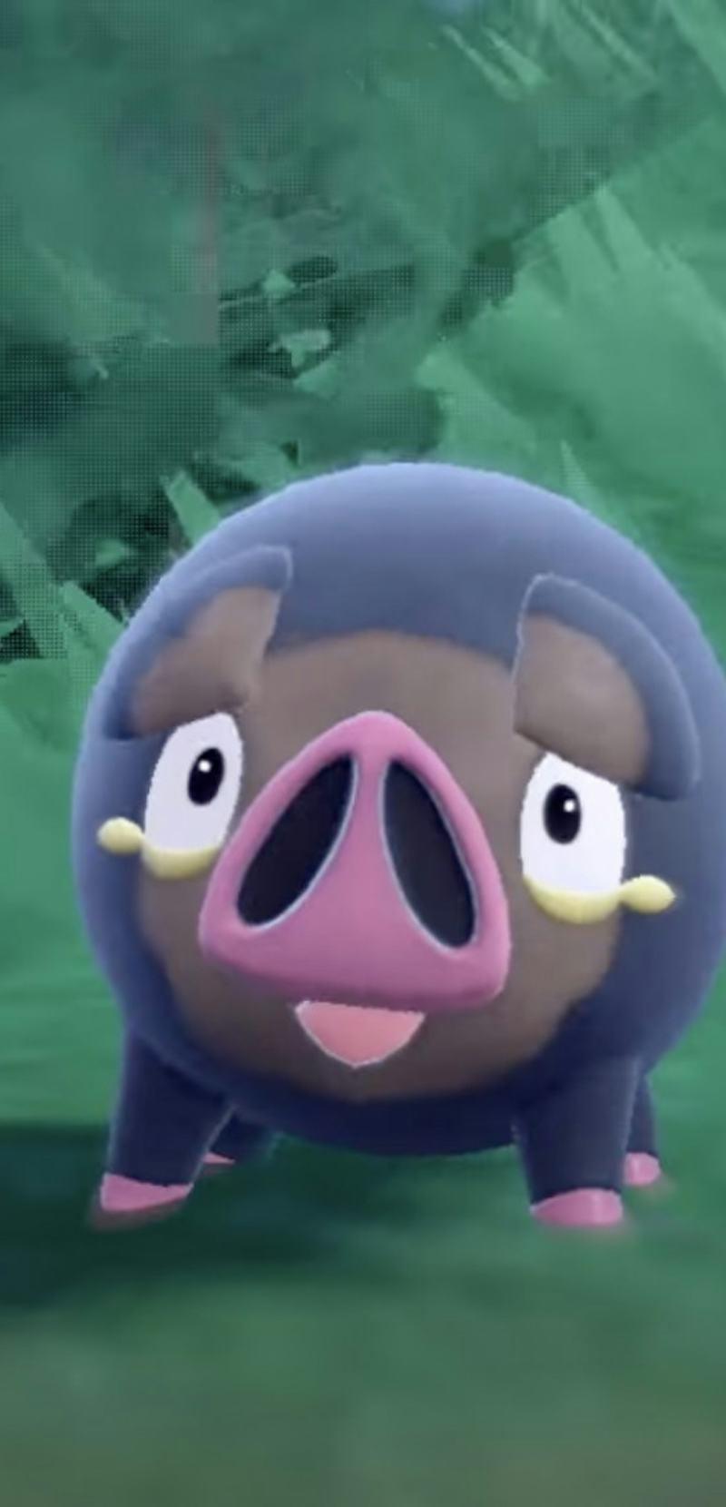 800x1660 Pokémon Lechonk: 7 porky image from the 'Scarlet and Violet' trailer