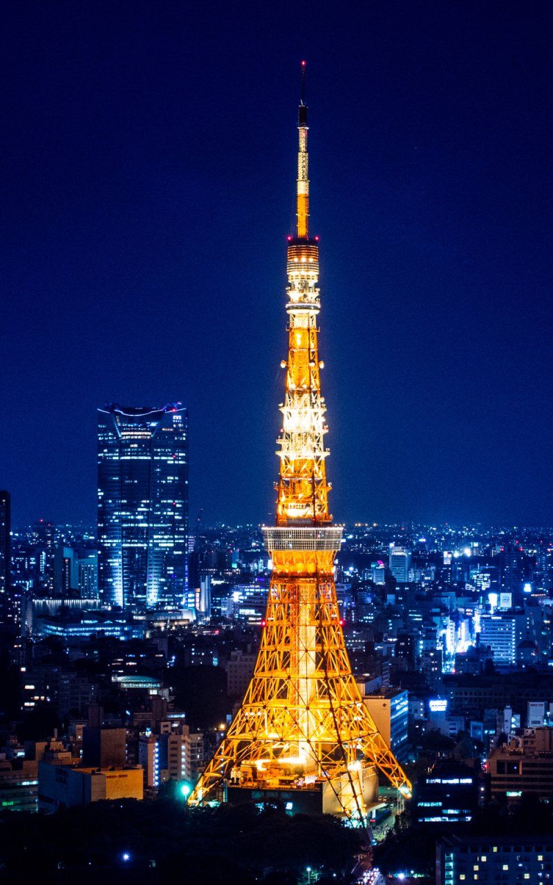 800x1280 Midnight Tokyo Tower Golden Tokyo Glow Phone Wallpaper: Tokyo Tower
