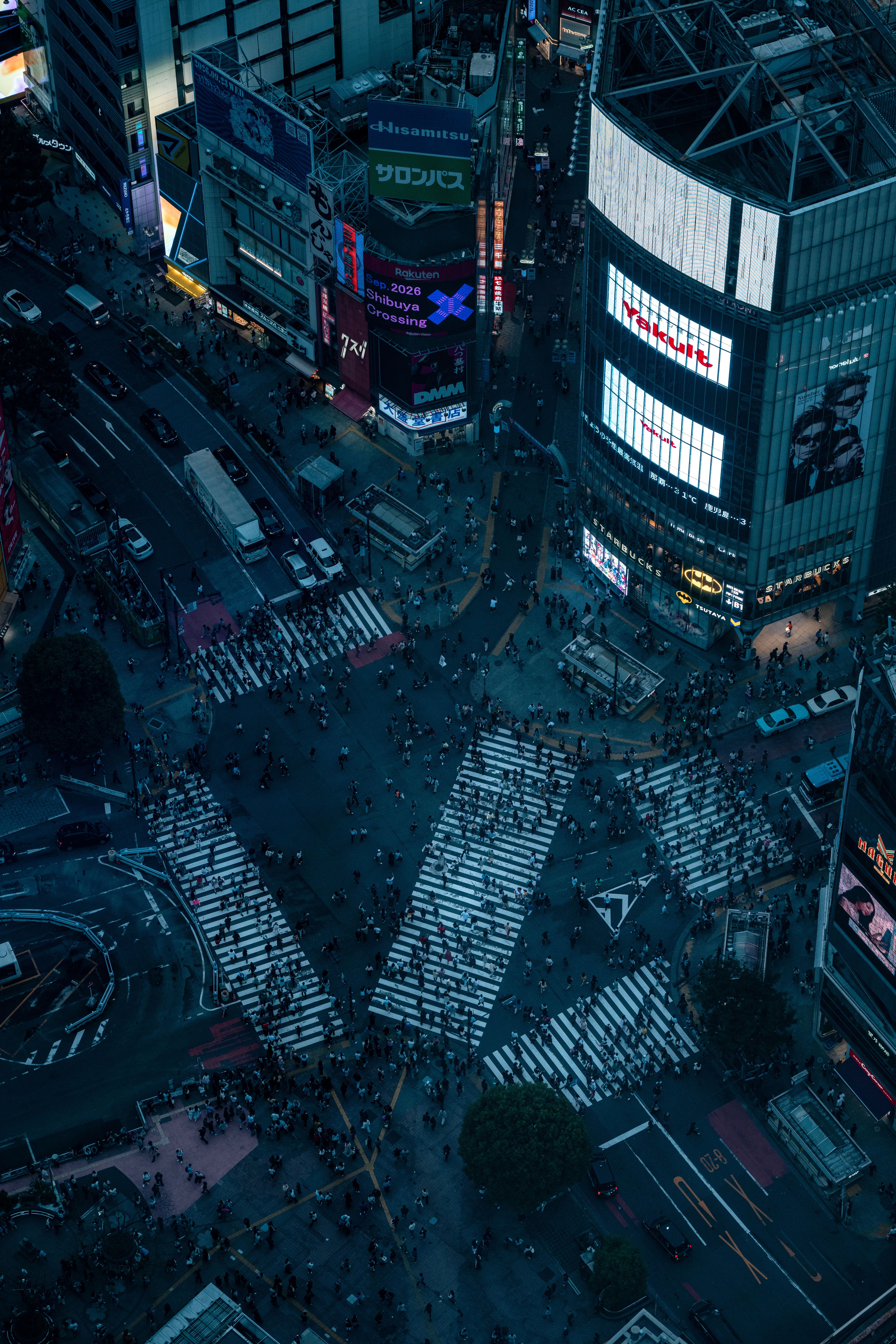5504x8256 Tokyo Night Photo, Download The BEST Free Tokyo Night & HD Image