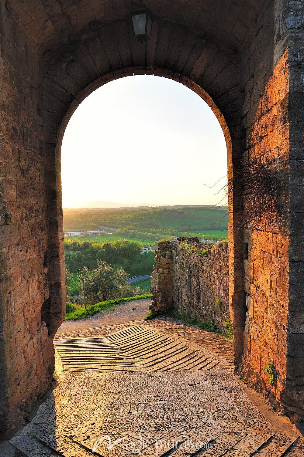 1000x1506 Monteriggioni View