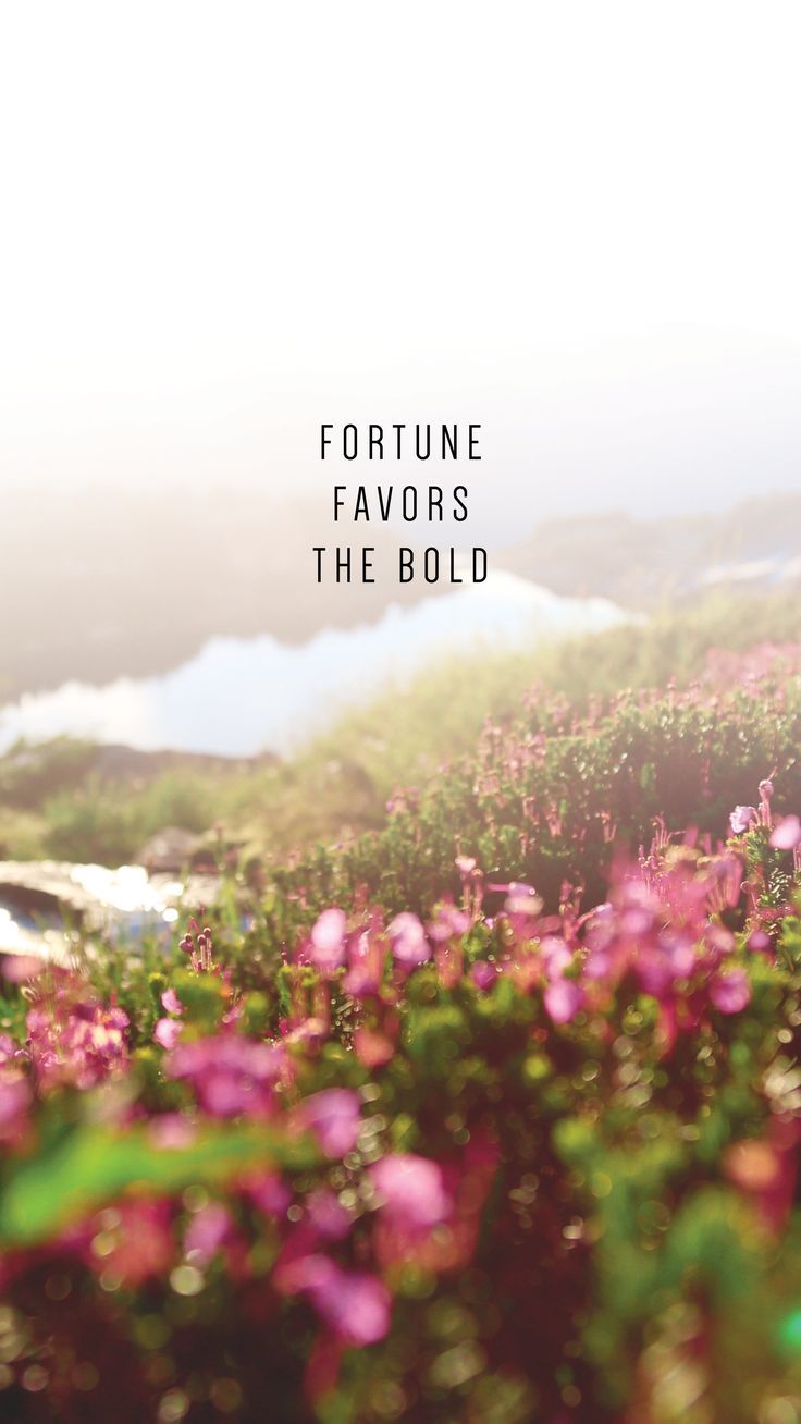 736x1308 Phone Wallpaper To Inspire Writing From Nowhere. Fortune favors the bold wallpaper, Inspirational travel quote on floral background, Phone wallpaper quotes
