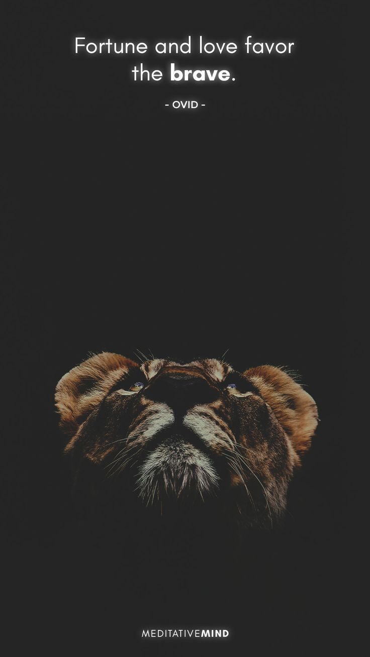 736x1308 Quotes Archives