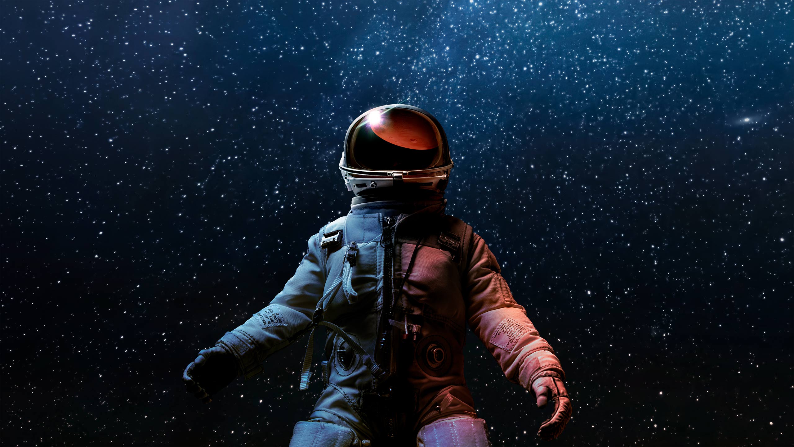 2560x1440 View Image browser New Tab Takeover image archive