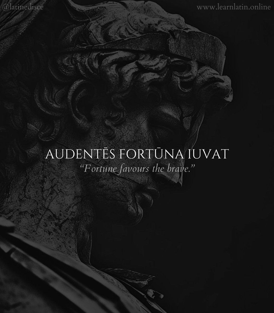 1050x1200 The Most POWERFUL Latin Proverbs