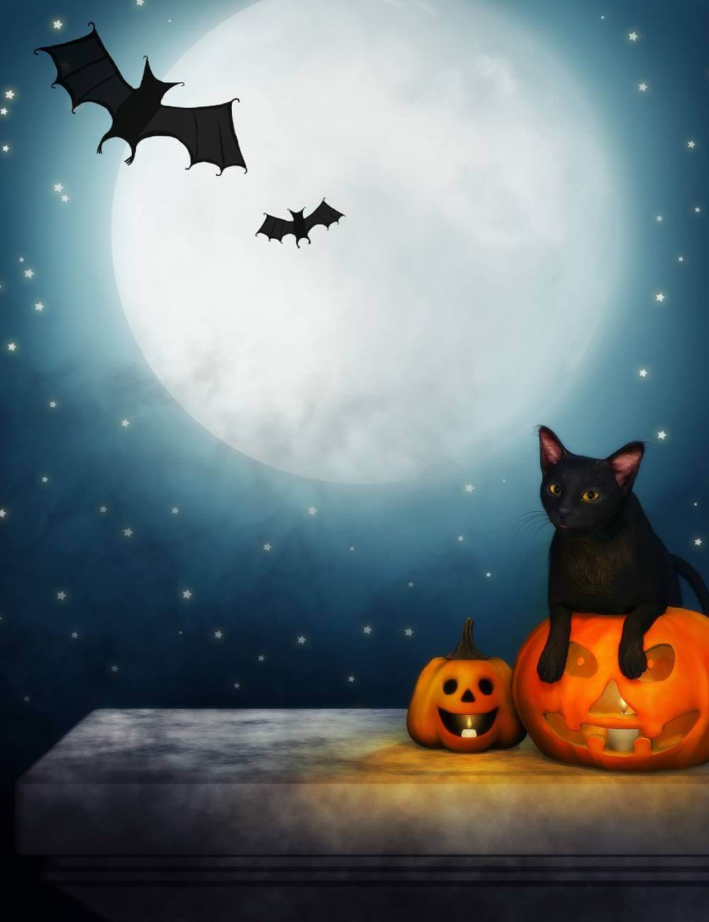 1000x1300 Halloween Black Cat And Pumpkin Lantern Moon Bat Backdrops IBD 246863