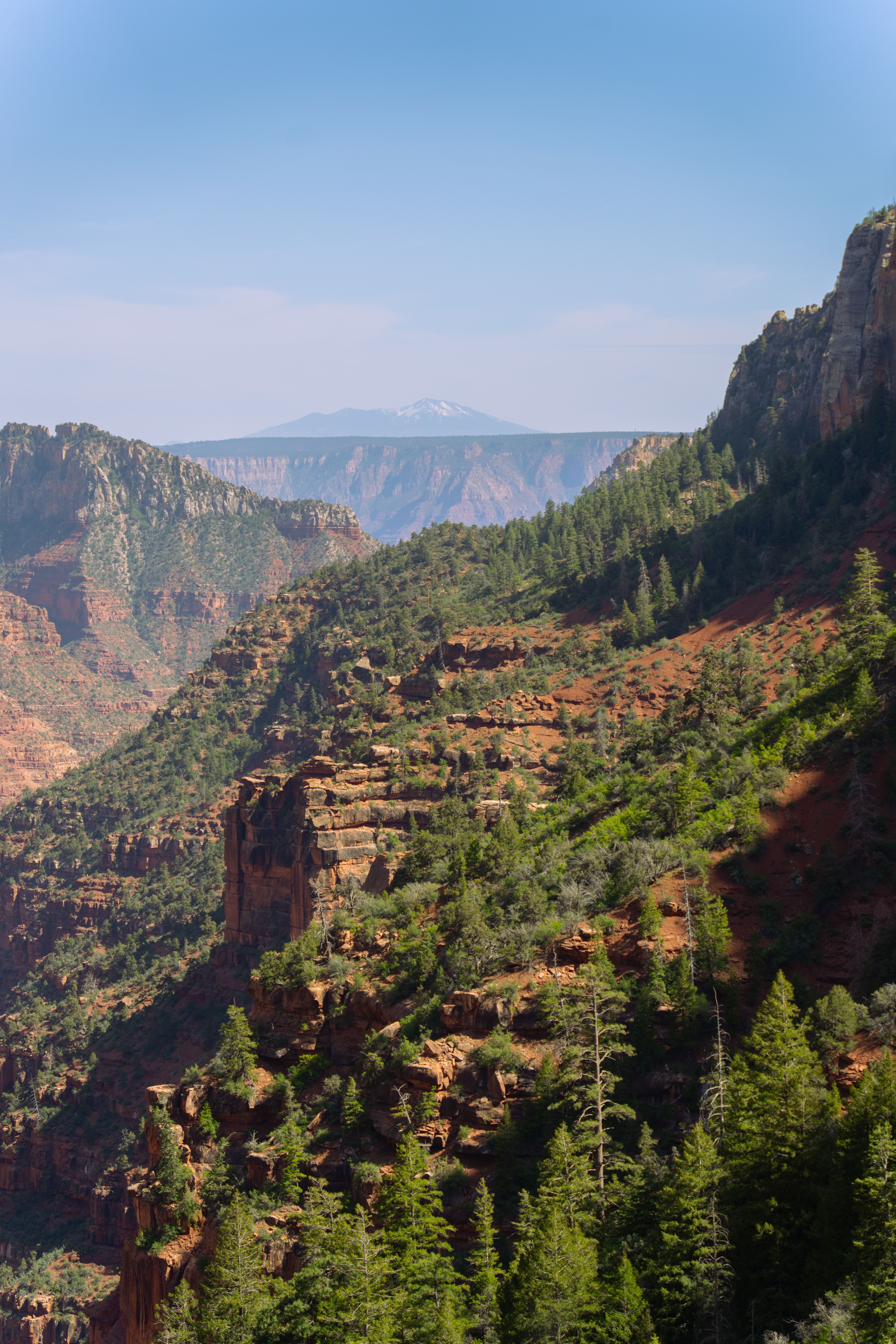 6275x9413 Mogollon Rim Photo, Download The BEST Free Mogollon Rim & HD Image