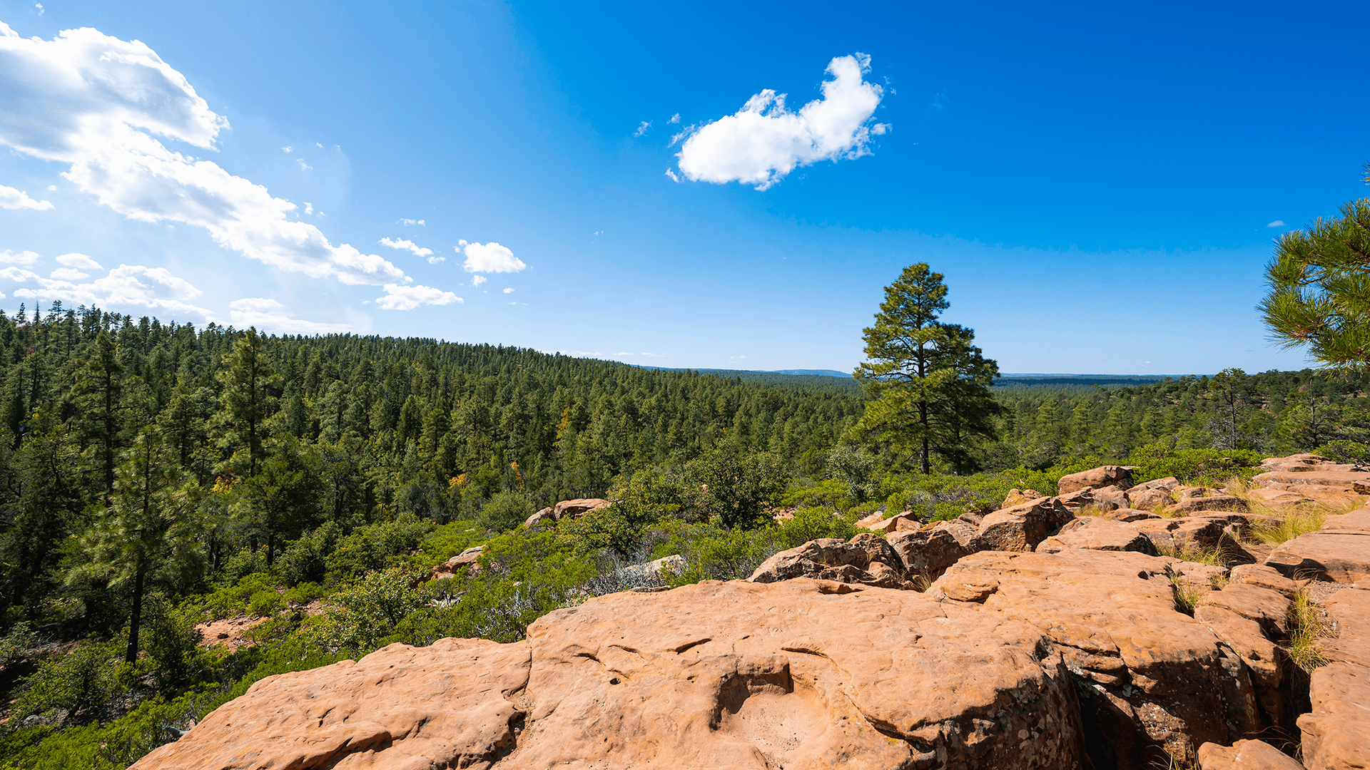 1920x1080 Hunting and Fishing in Arizona: Payson and the Mogollon Rim