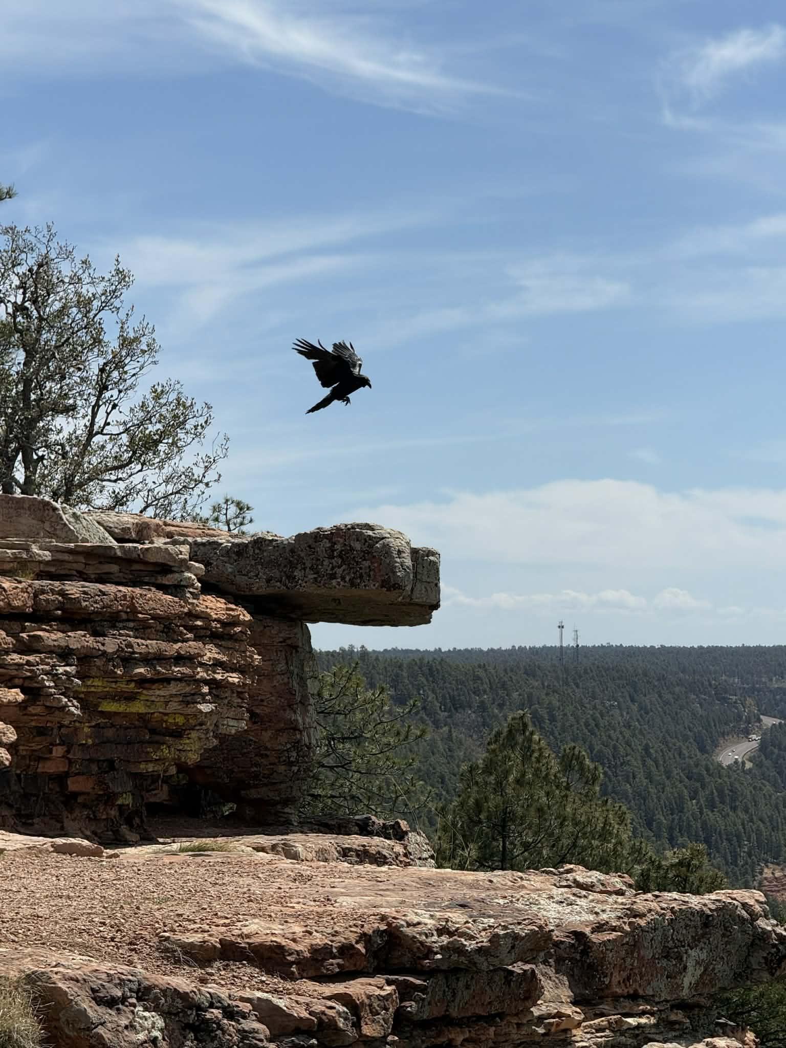 1536x2048 Mogollon Rim Tonto Creak Adventure