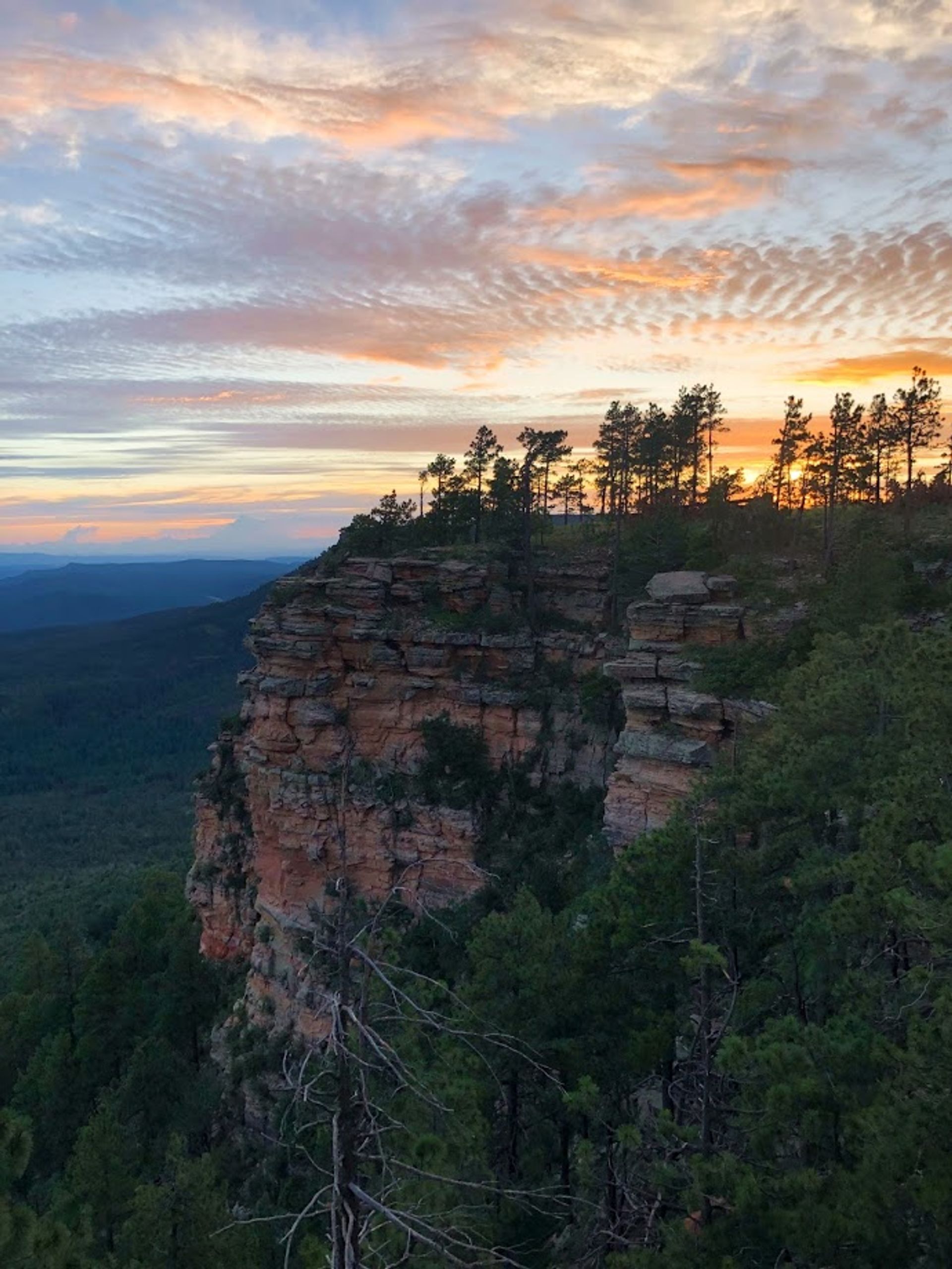 1920x2560 Dispersed Camping on Mogollon Rim (FR 9350), Payson, Arizona