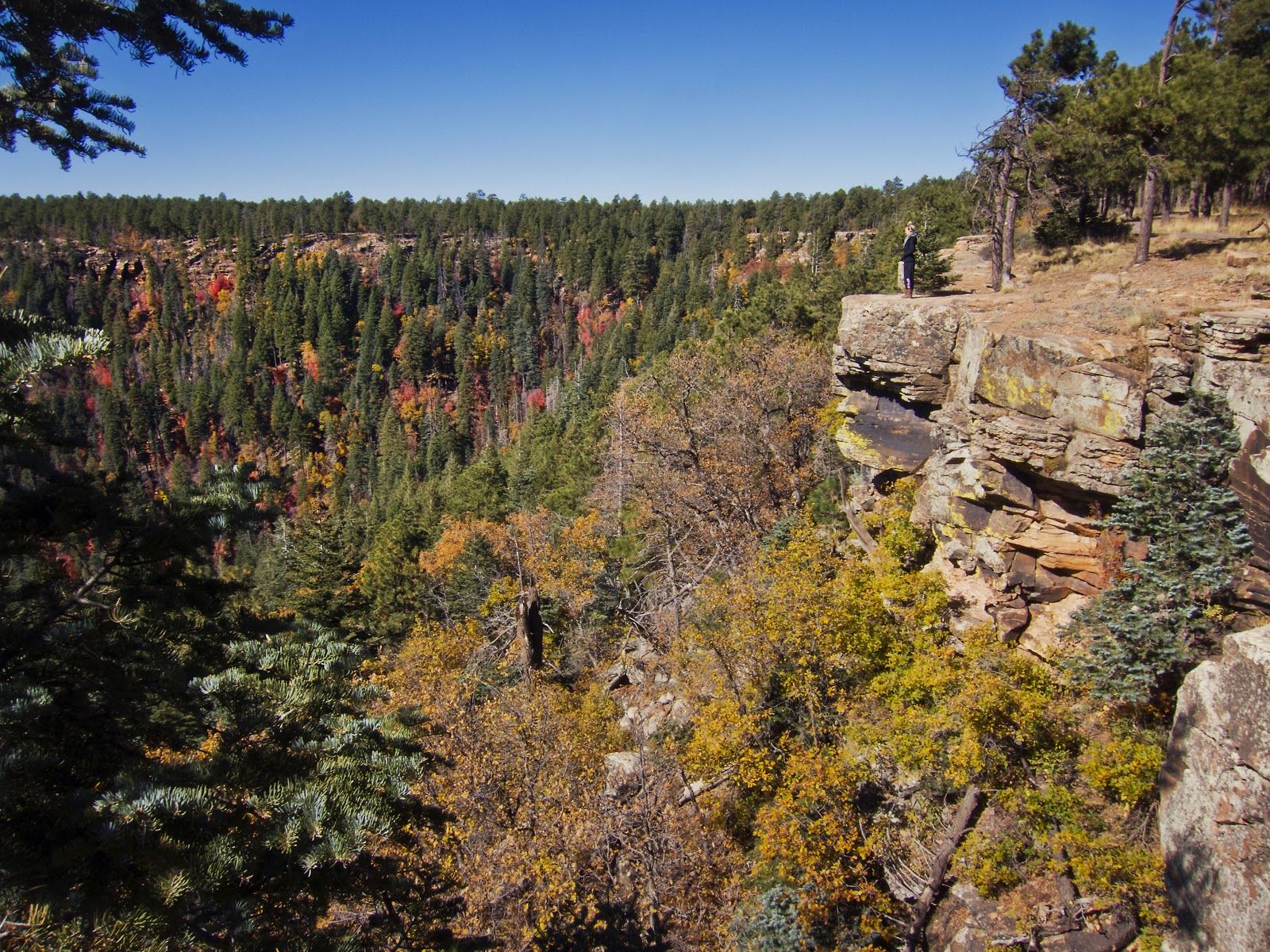 1600x1200 Made to Create: Mogollon Rim