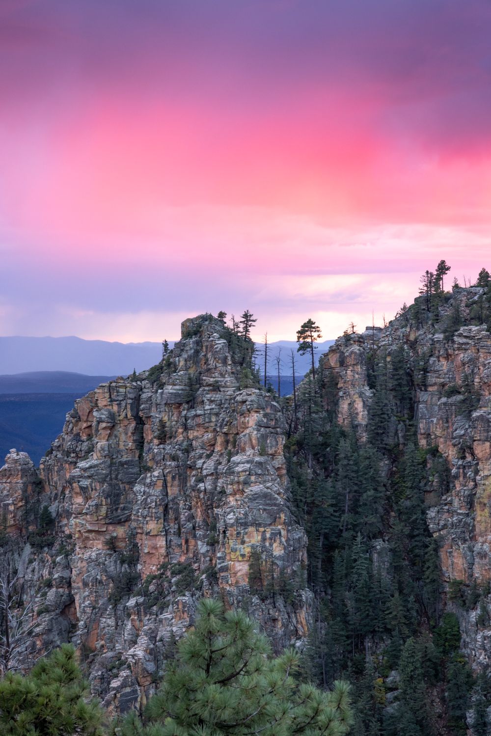 1000x1499 mogollon rim