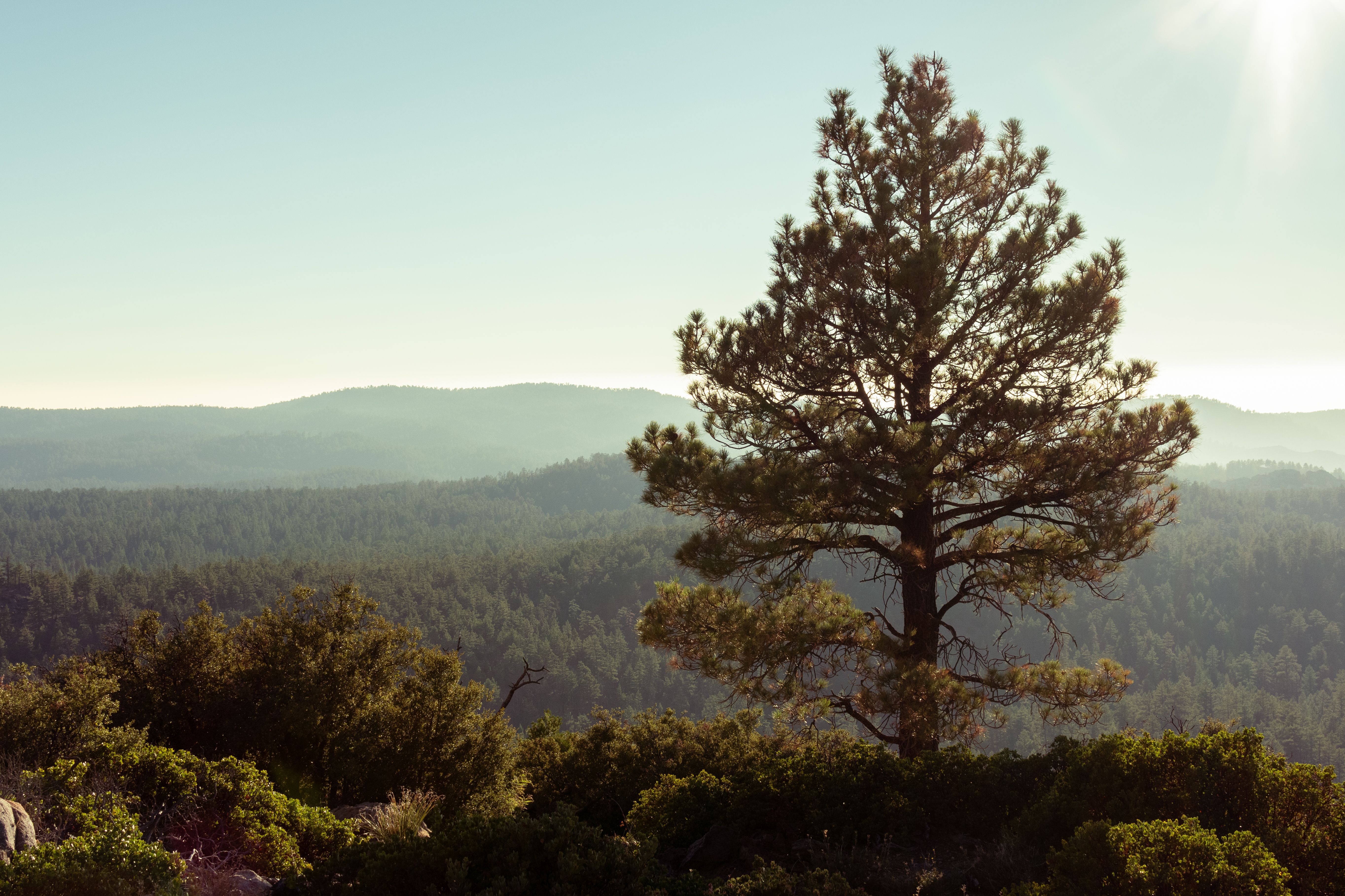 5456x3637 Mogollon Rim Photo, Download The BEST Free Mogollon Rim & HD Image