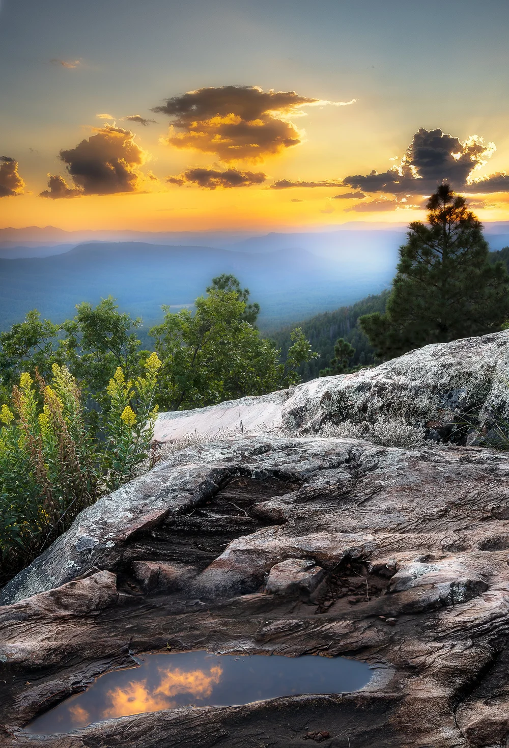 1000x1469 Mogollon Rim (Fine Art Print)