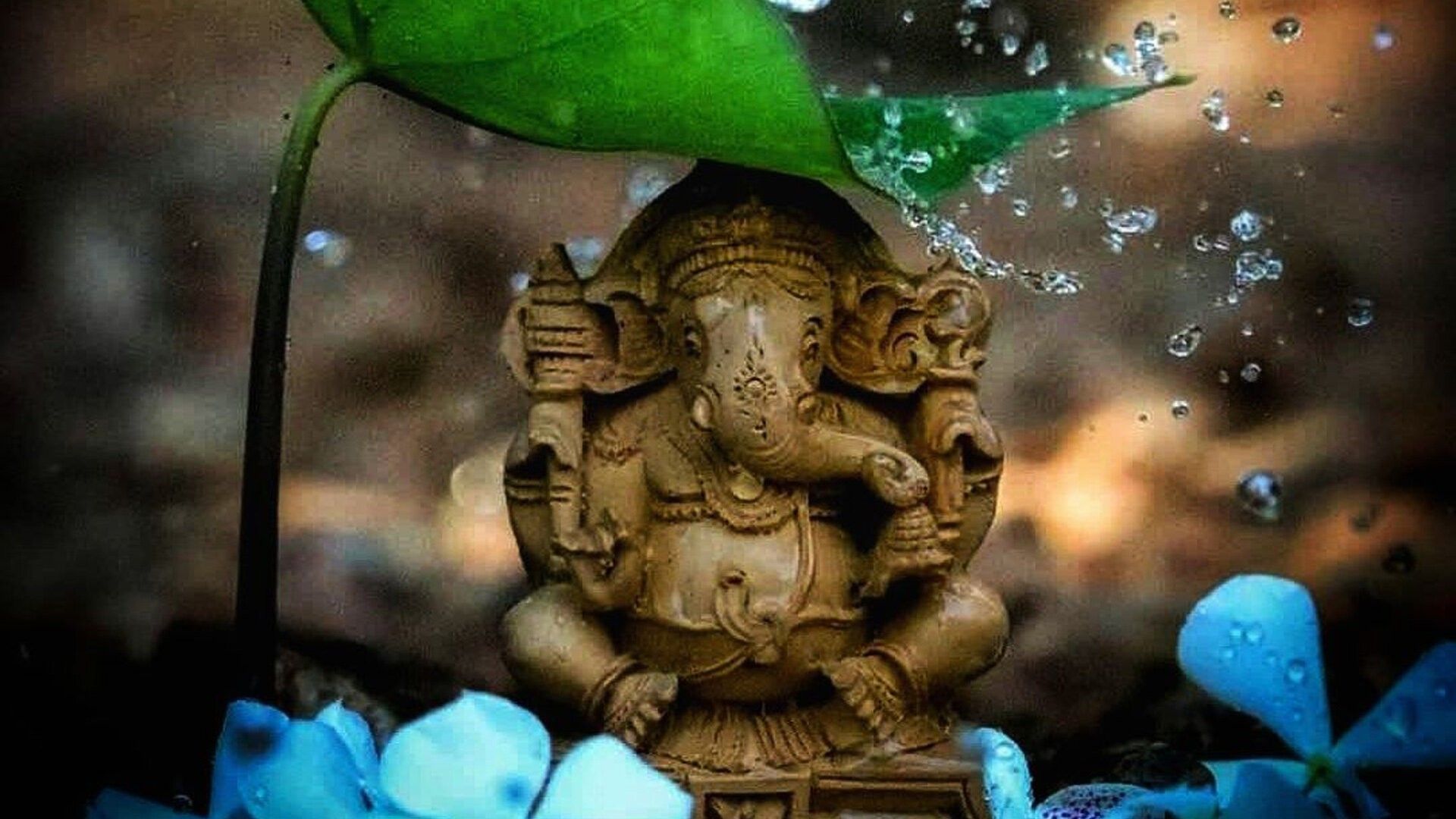 1920x1080 Cute Ganesh Statue Under Green Leaf Water Splash In Blur Background HD Cute Wallpaper