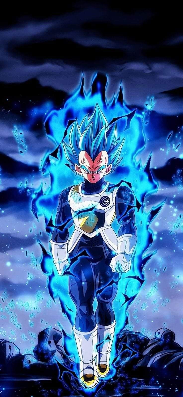736x1593 Dragon Ball Anime Character with Purple Hair. Fond d'écran vegeta, Image de dragon ball