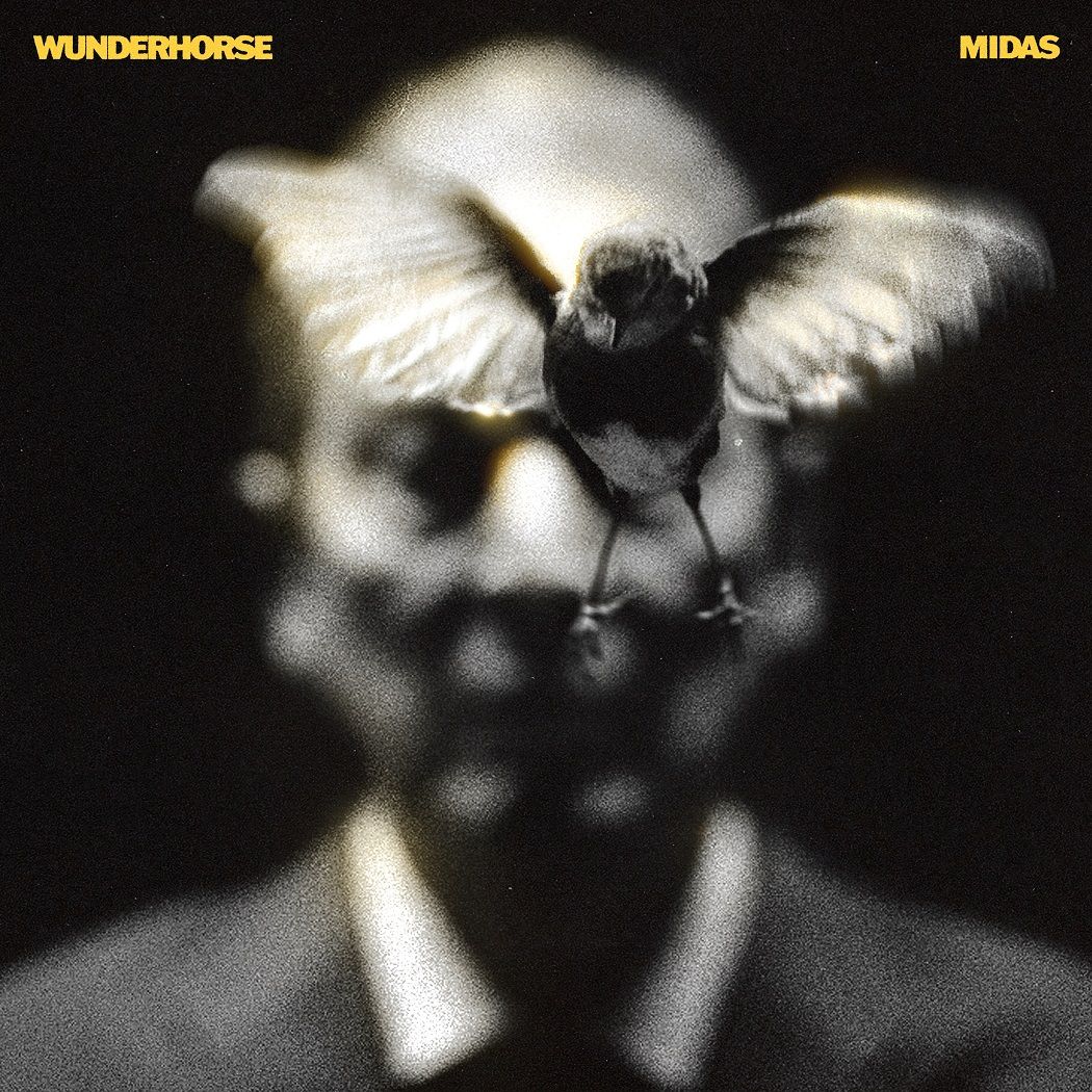 1050x1050 Wunderhorse Wallpaper