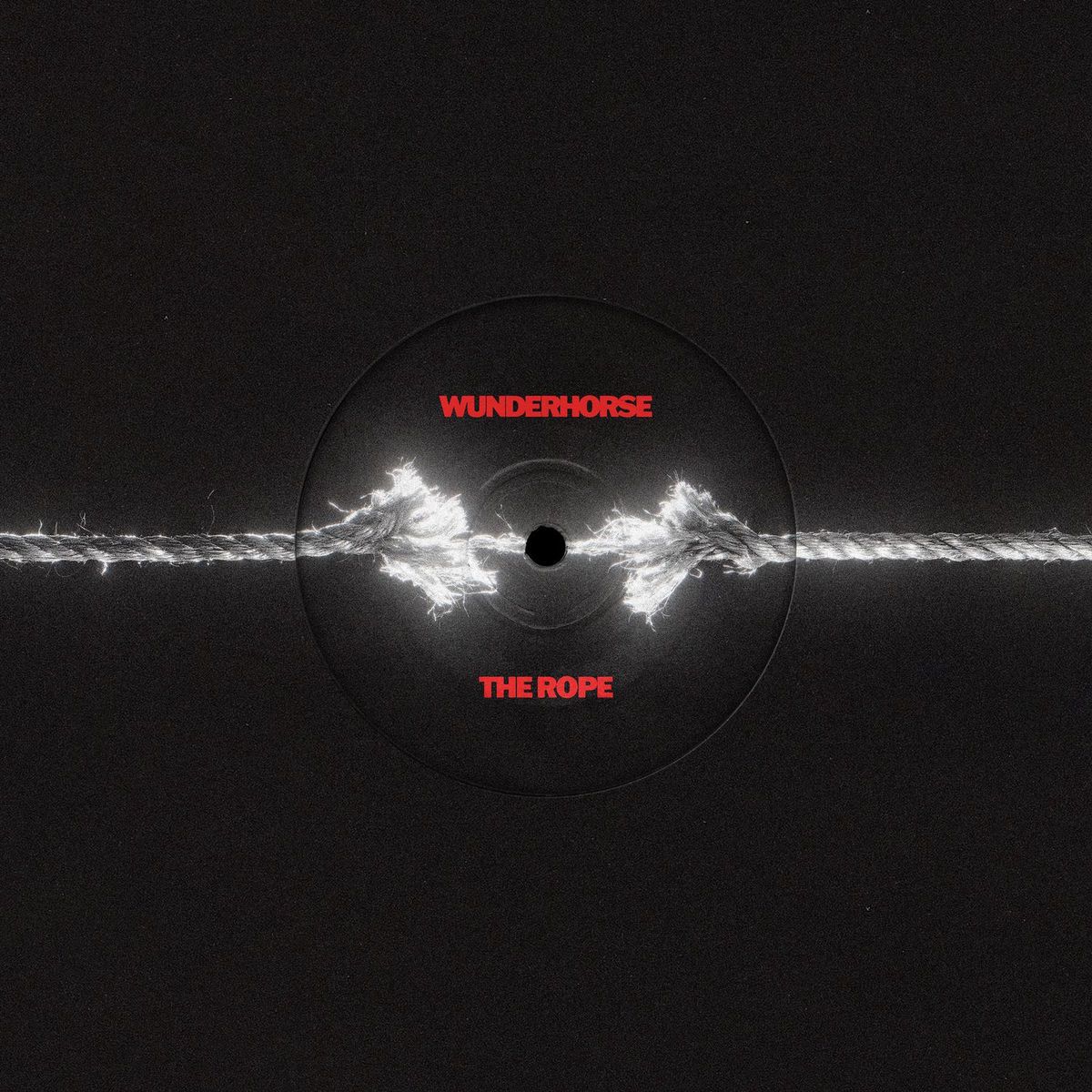 1200x1200 Wunderhorse
