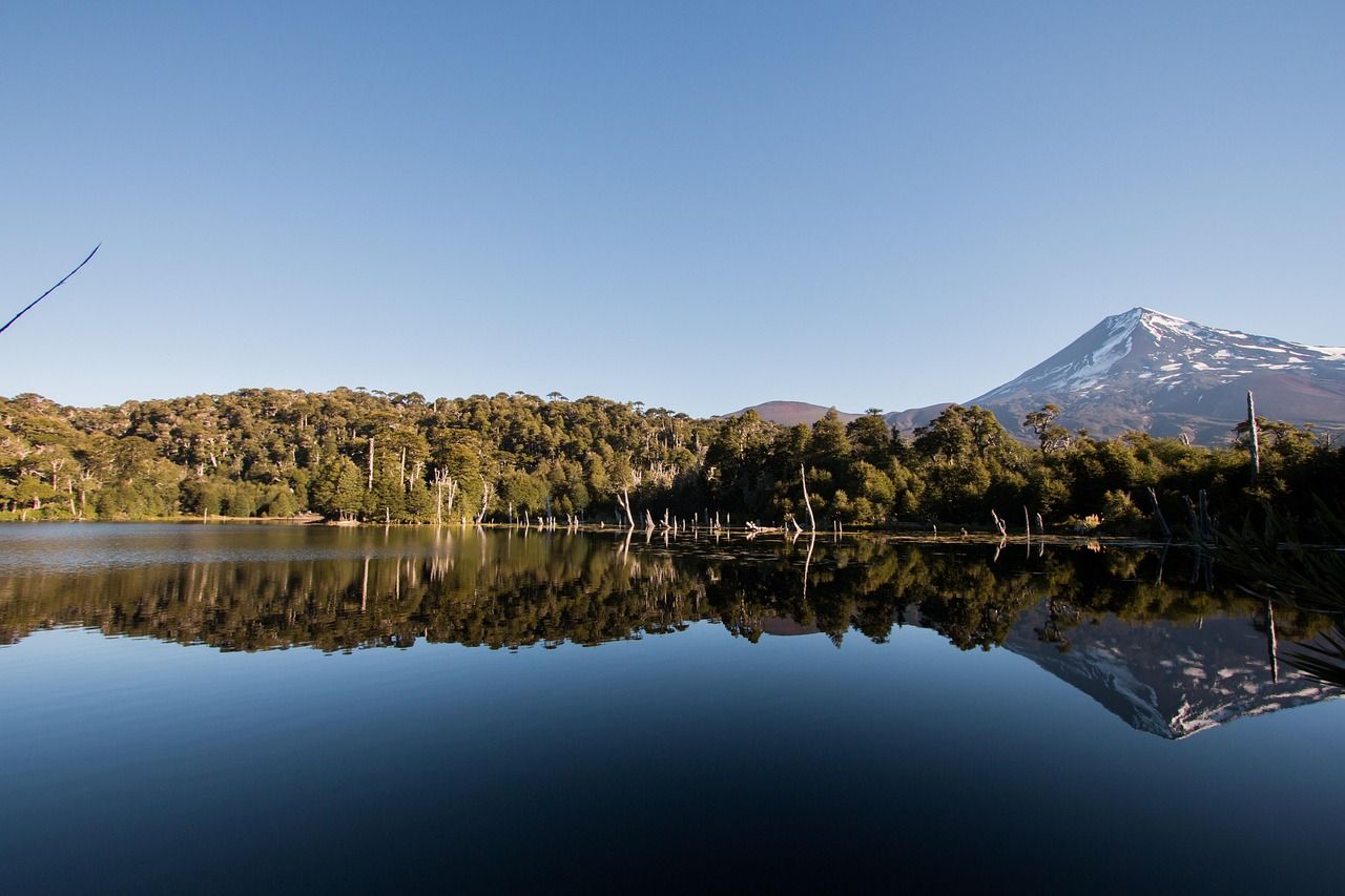 1280x853 Free Araucania & Nature Image