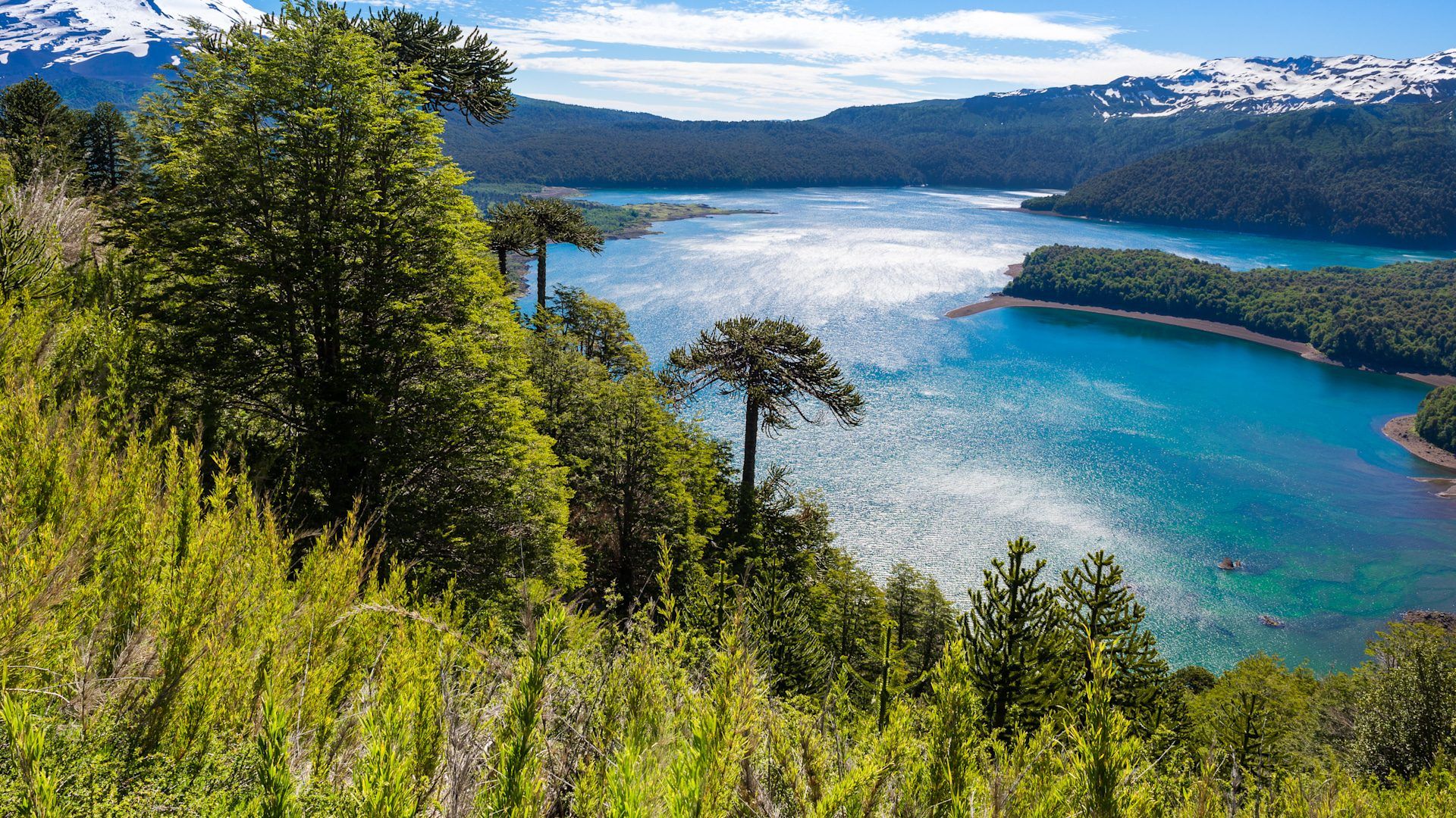 1920x1080 Araucania, Chile
