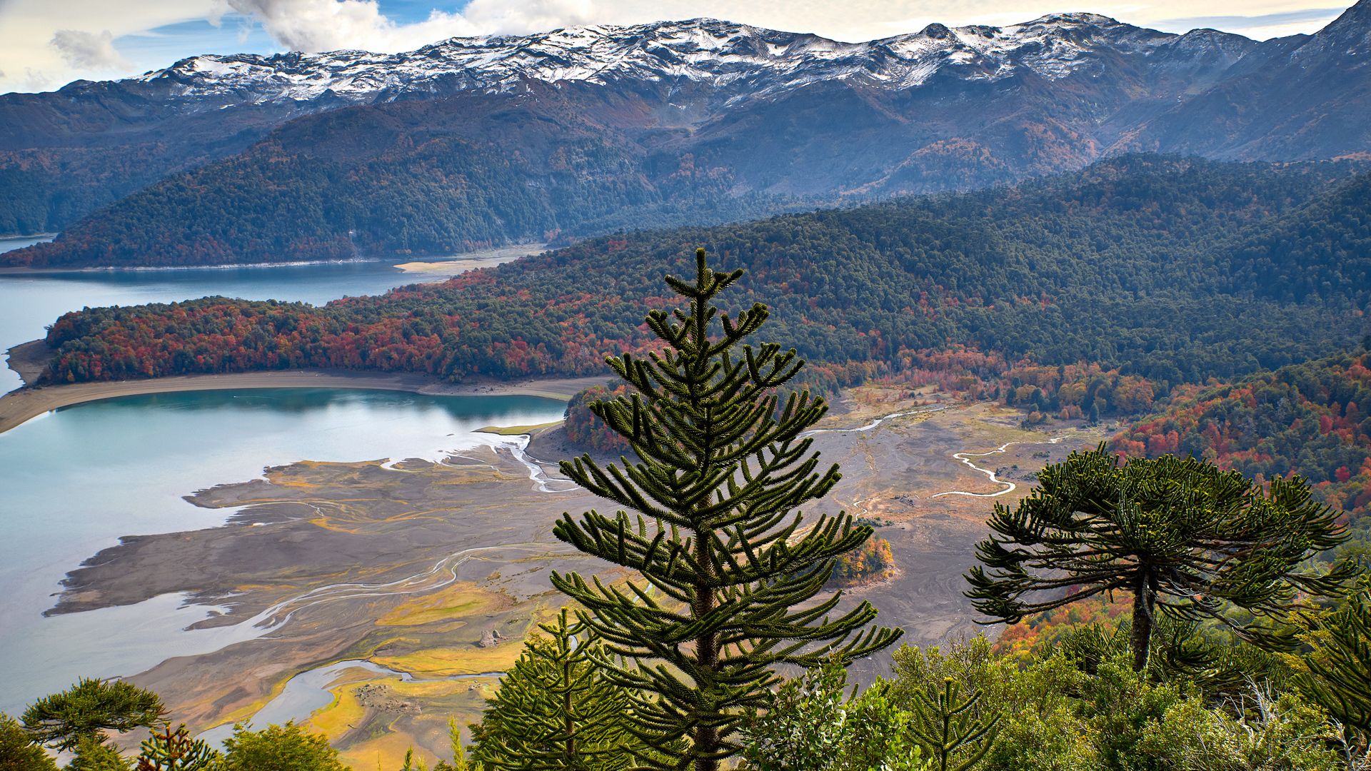 1920x1080 Lake Conguillio and Sierra Nevada in autumn, Conguillío National Park, Araucanía, Chile. Windows Spotlight Image
