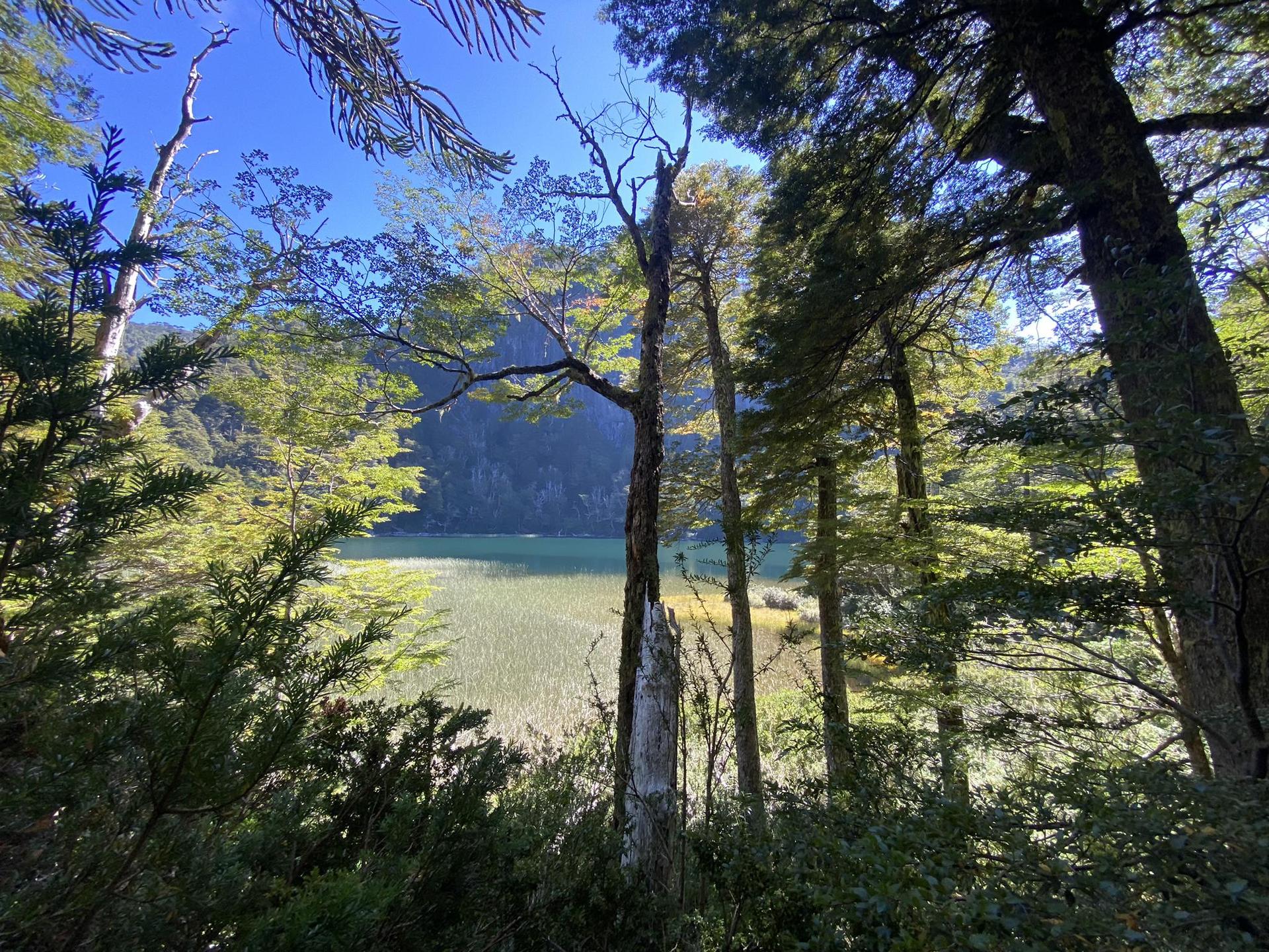 1920x1440 Attractions and Places To See in Araucanía
