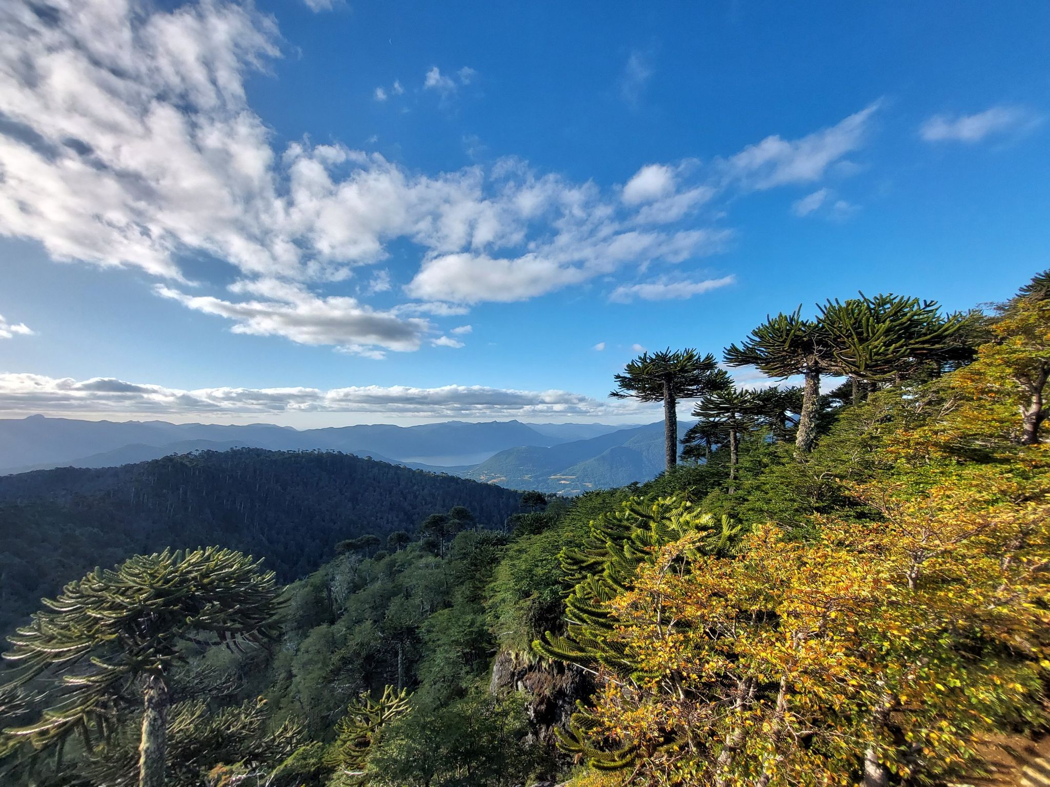 2048x1536 The best hikes from bus stations in Araucanía