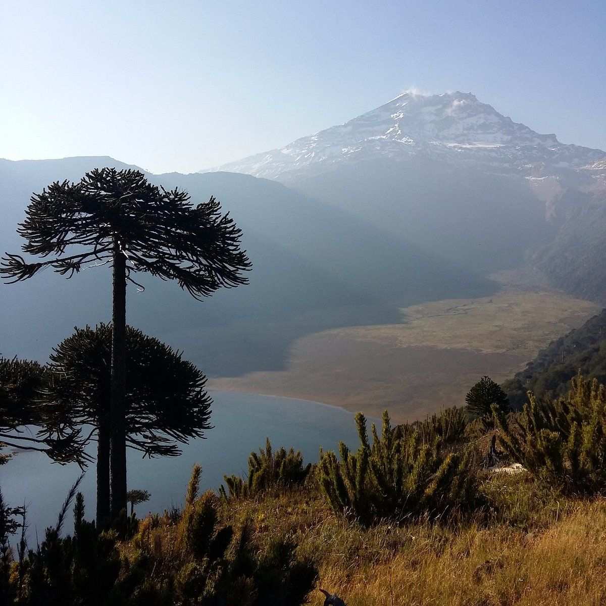 1200x1200 FUNDO LAGUNA BLANCA RESORT Reviews (Chile Curacautin)