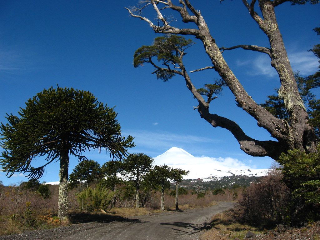 1024x768 Parque Nacional Conguillío, Araucanía, Chile. CoNe