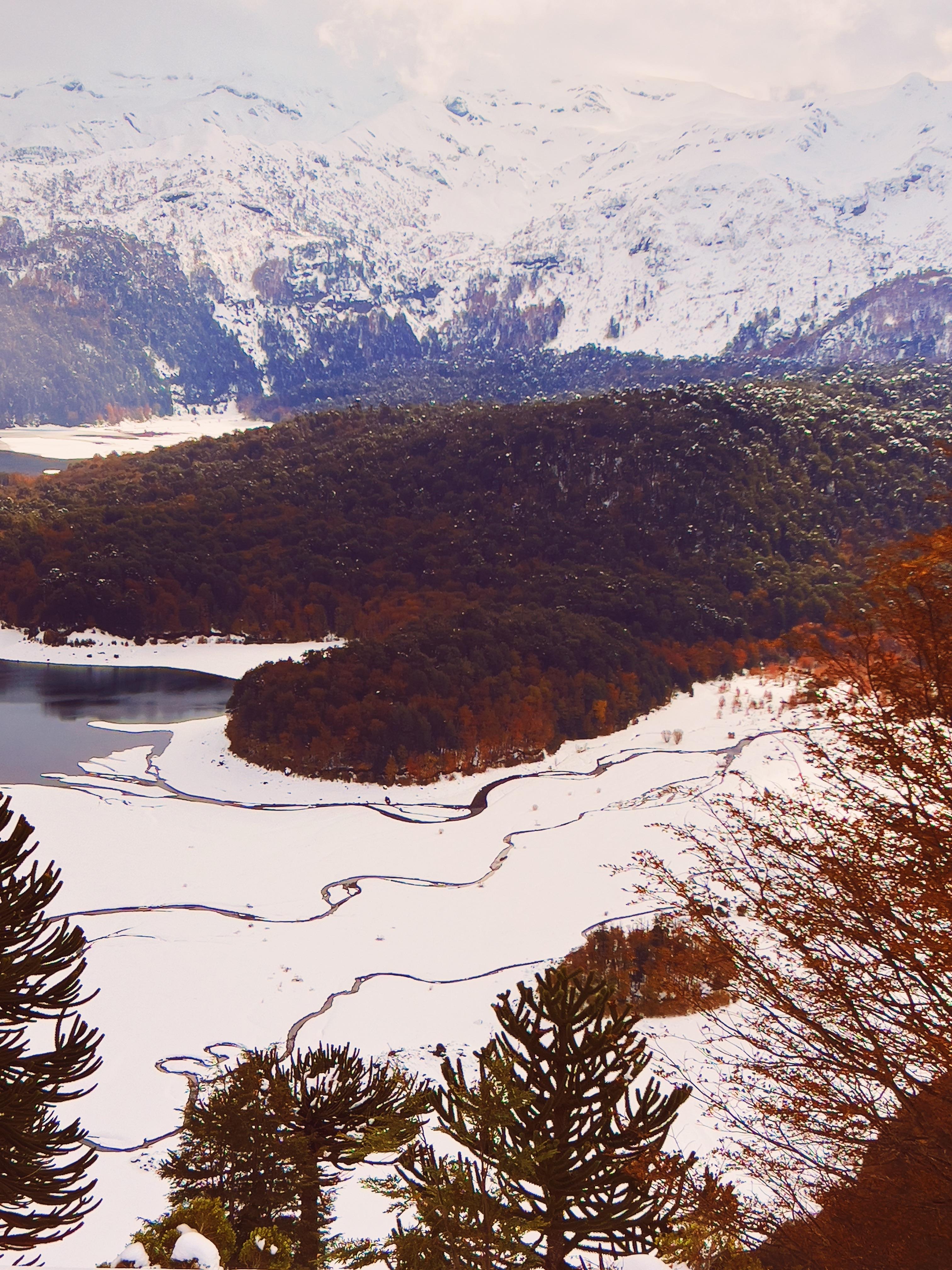 3024x4032 What's your favorite hiking season? Mine is undeniably autumn. [Parque Nacional Conguillio, Región de la Araucanía, Chile.]