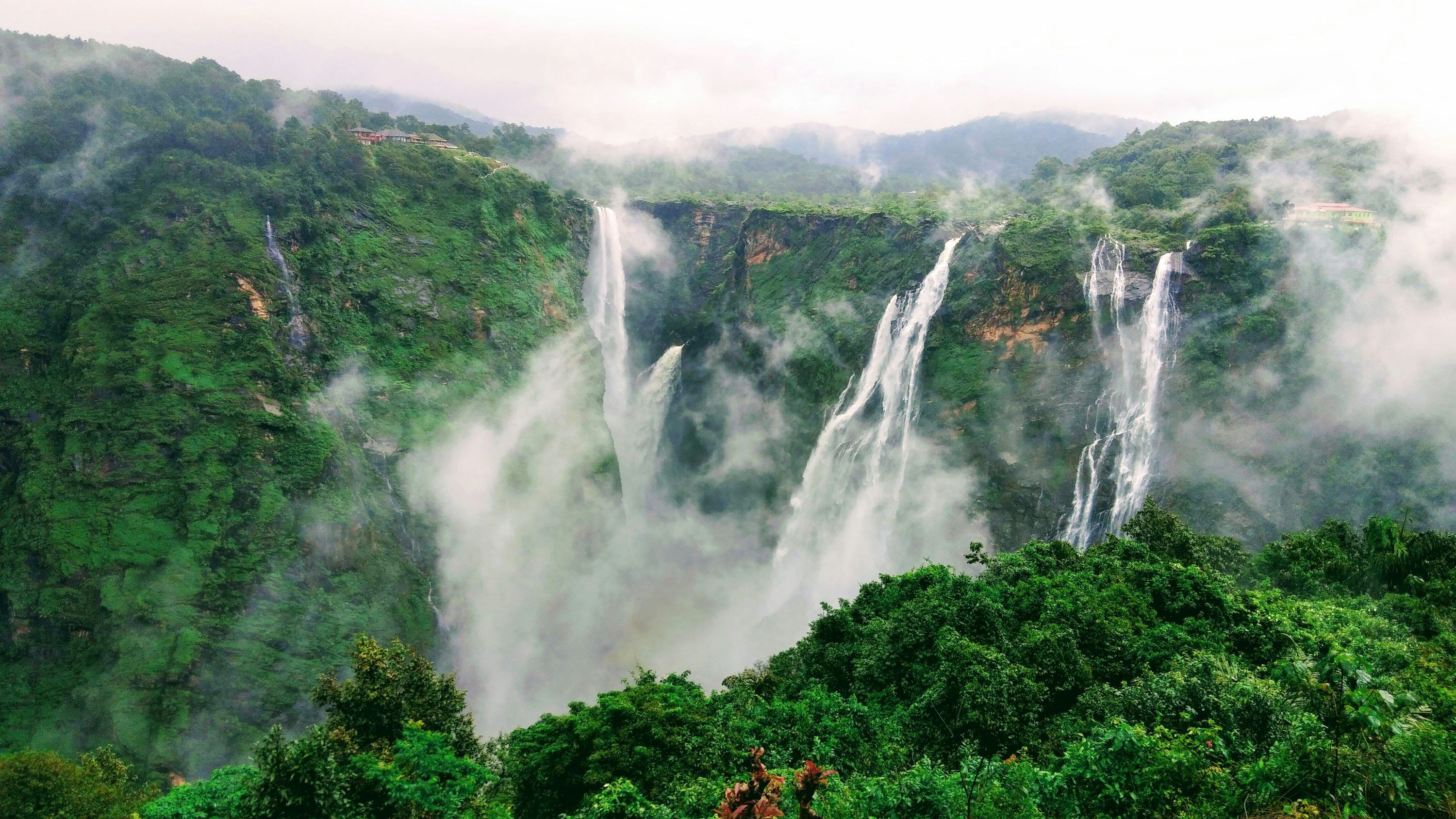 3000x1688 Jog Falls, India Picture. Download Free Image