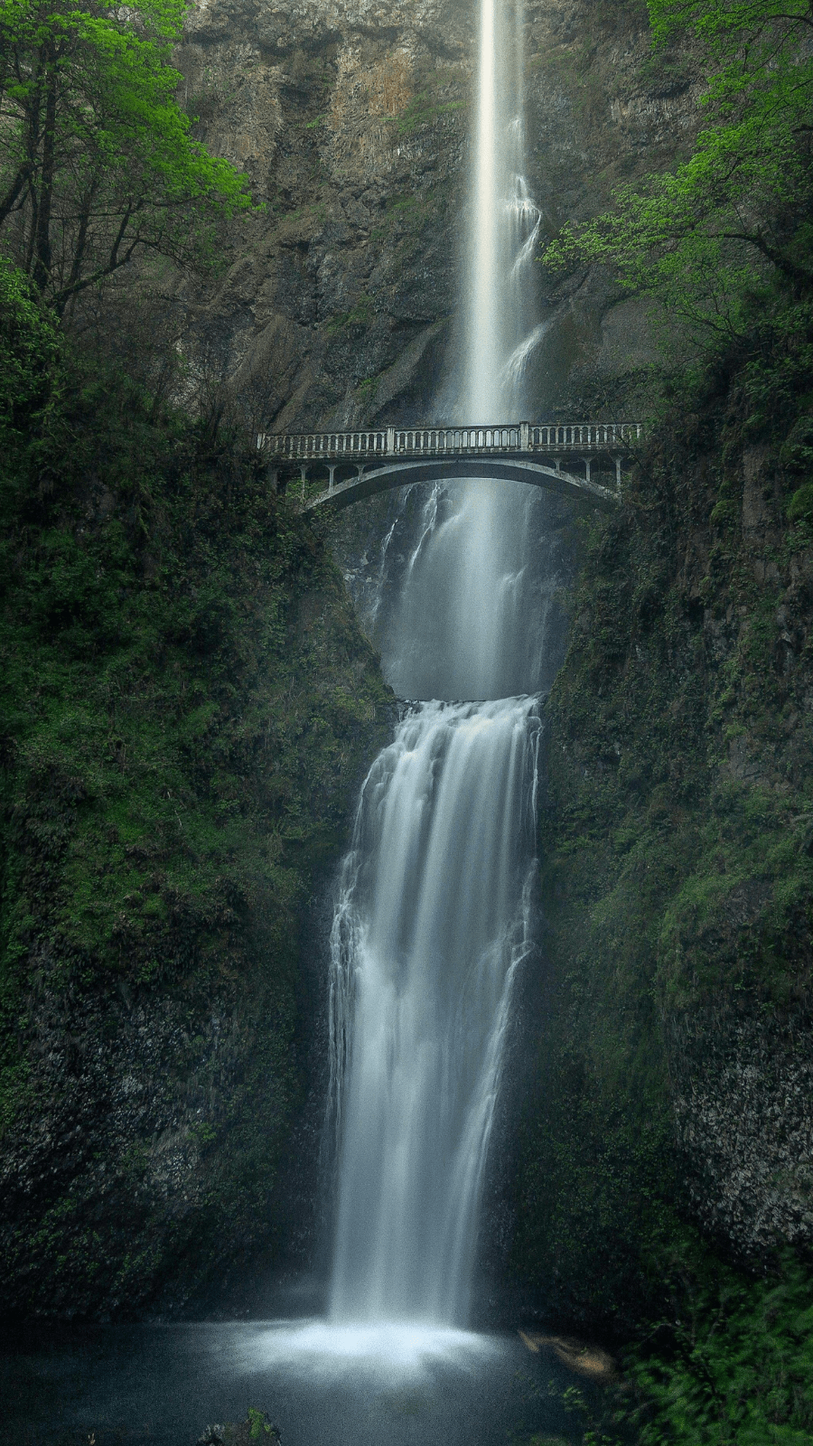 900x1600 Waterfalls in India That Reach Full Glory Only After Heavy Rains