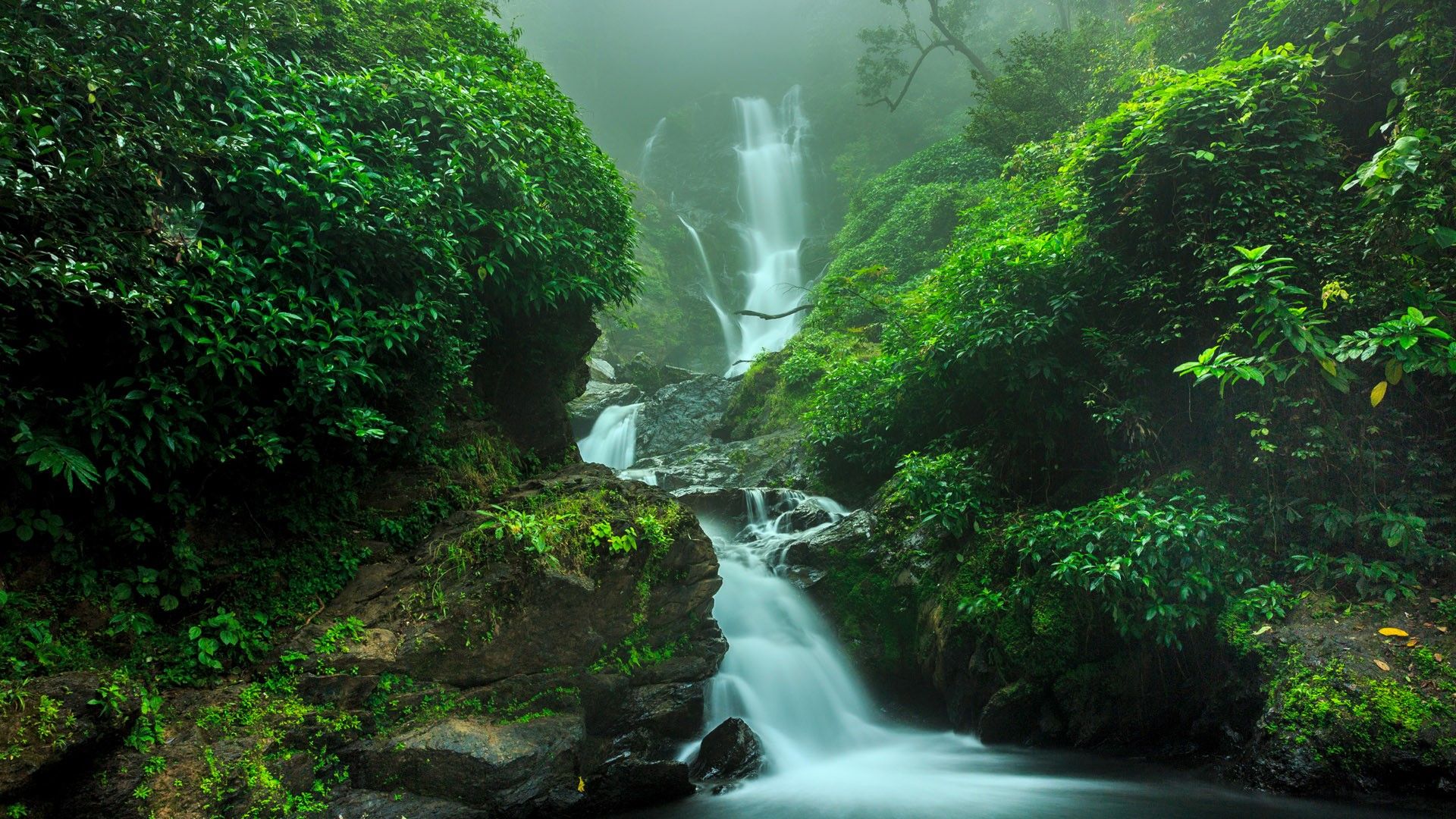 1920x1080 Waterfall in forest, Yanam, India. Windows Spotlight Image