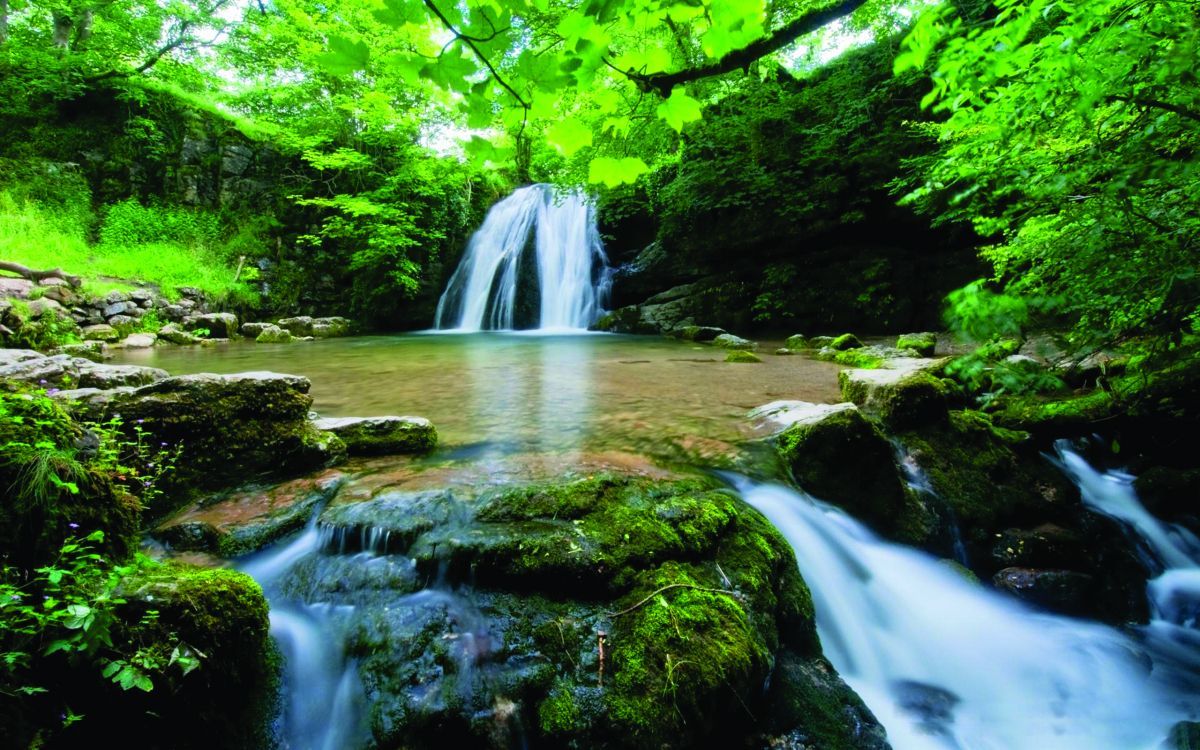 1200x750 Wallpaper Green Moss on Rocks in Front of Waterfalls, Background Free Image
