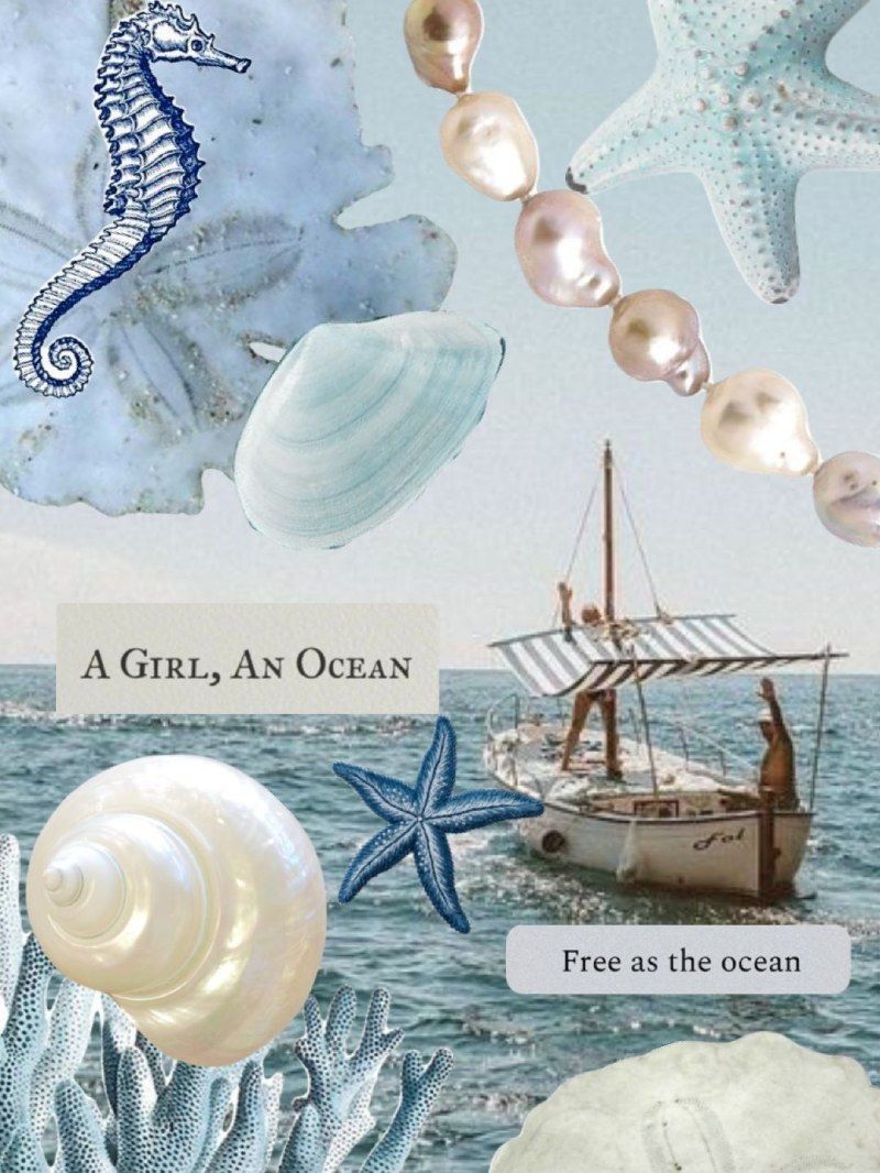 800x1066 Seashell Blue Ocean Aesthetic Collage iPad Wallpaper Lock Screen Background