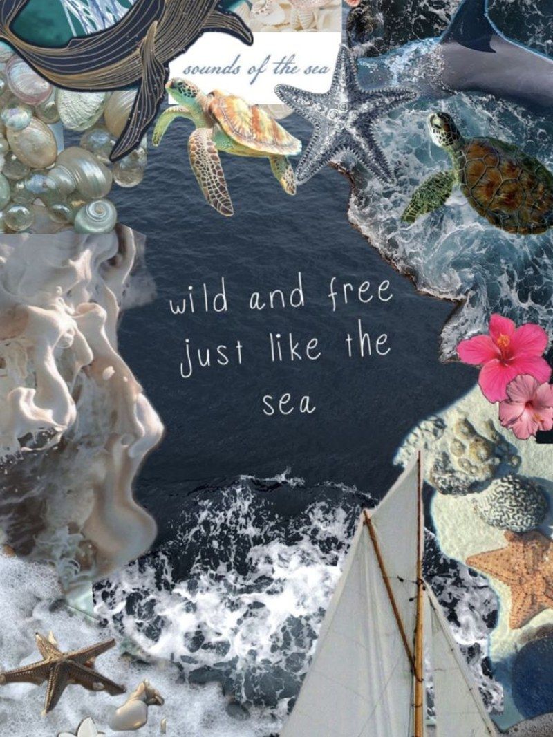 800x1066 Ocean Wildlife Aesthetic Collage iPad Wallpaper Lock Screen Background