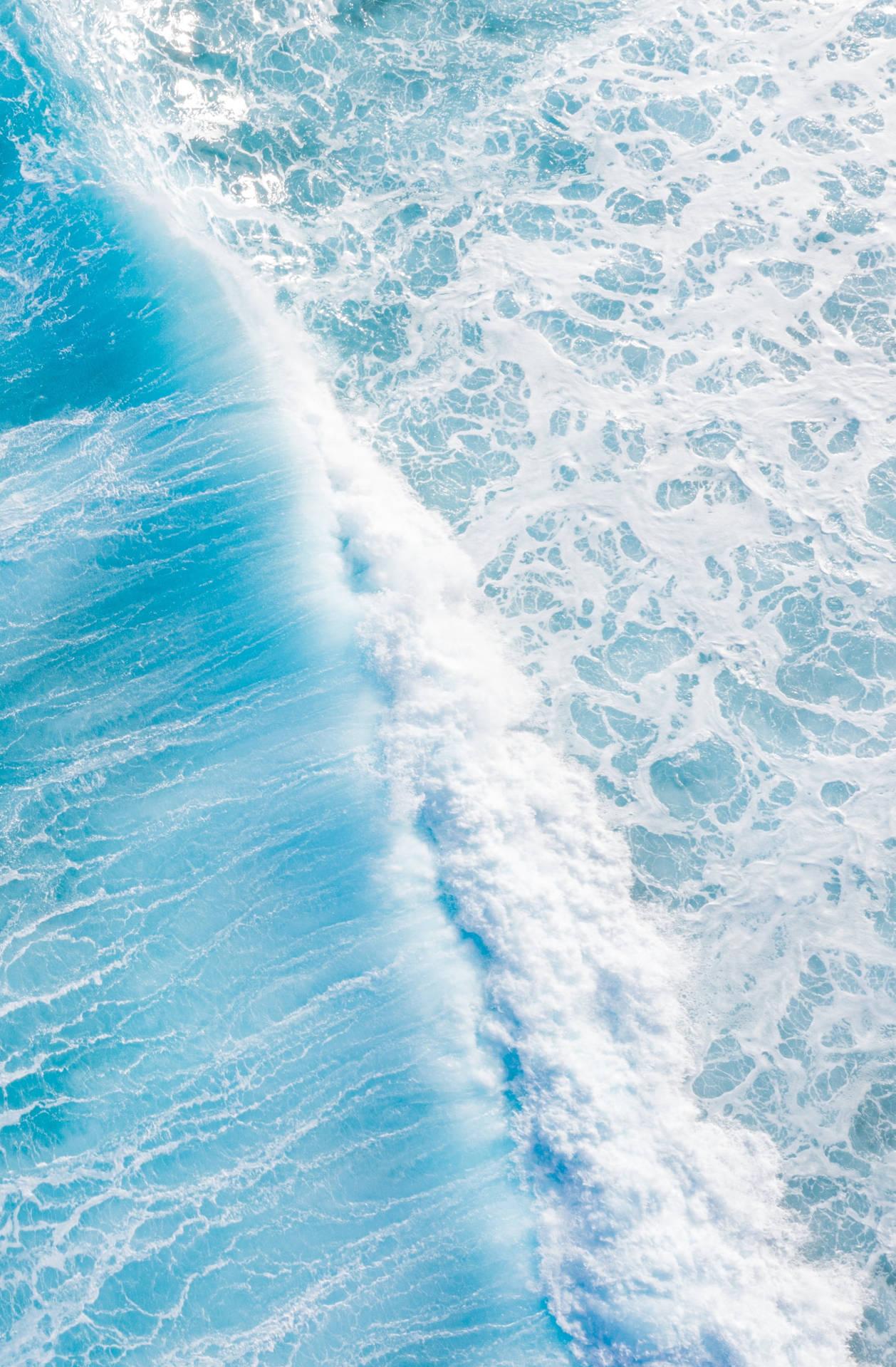 1258x1919 