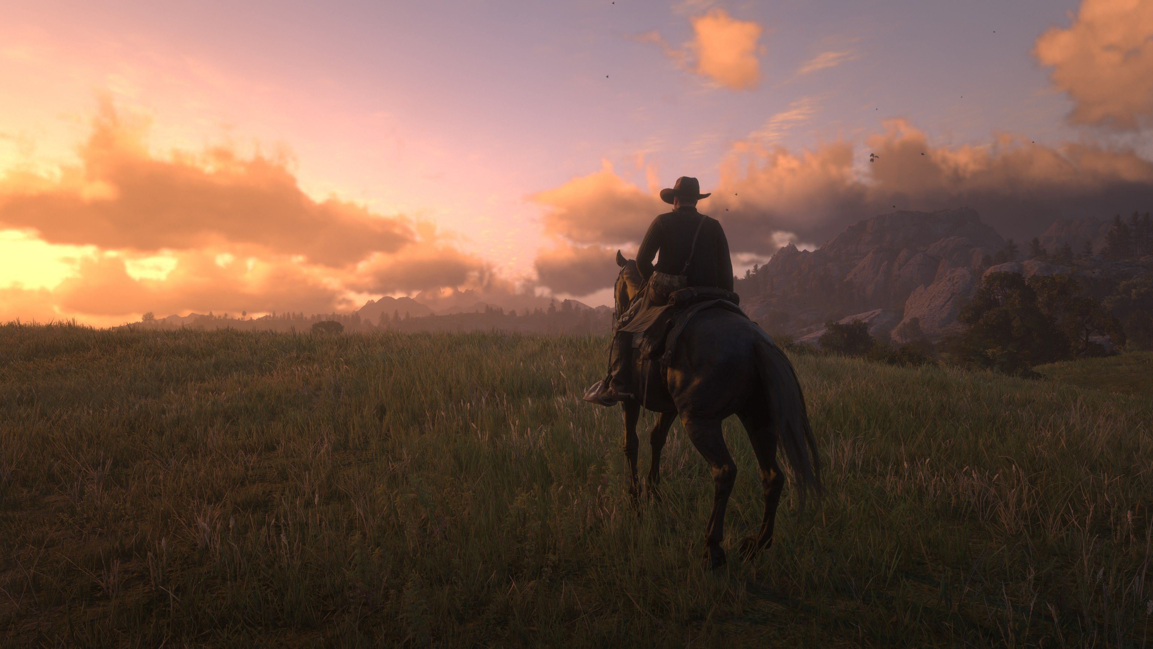 3840x2160 Arthur Morgan 4K HD Red Dead Redemption 2 Wallpaper